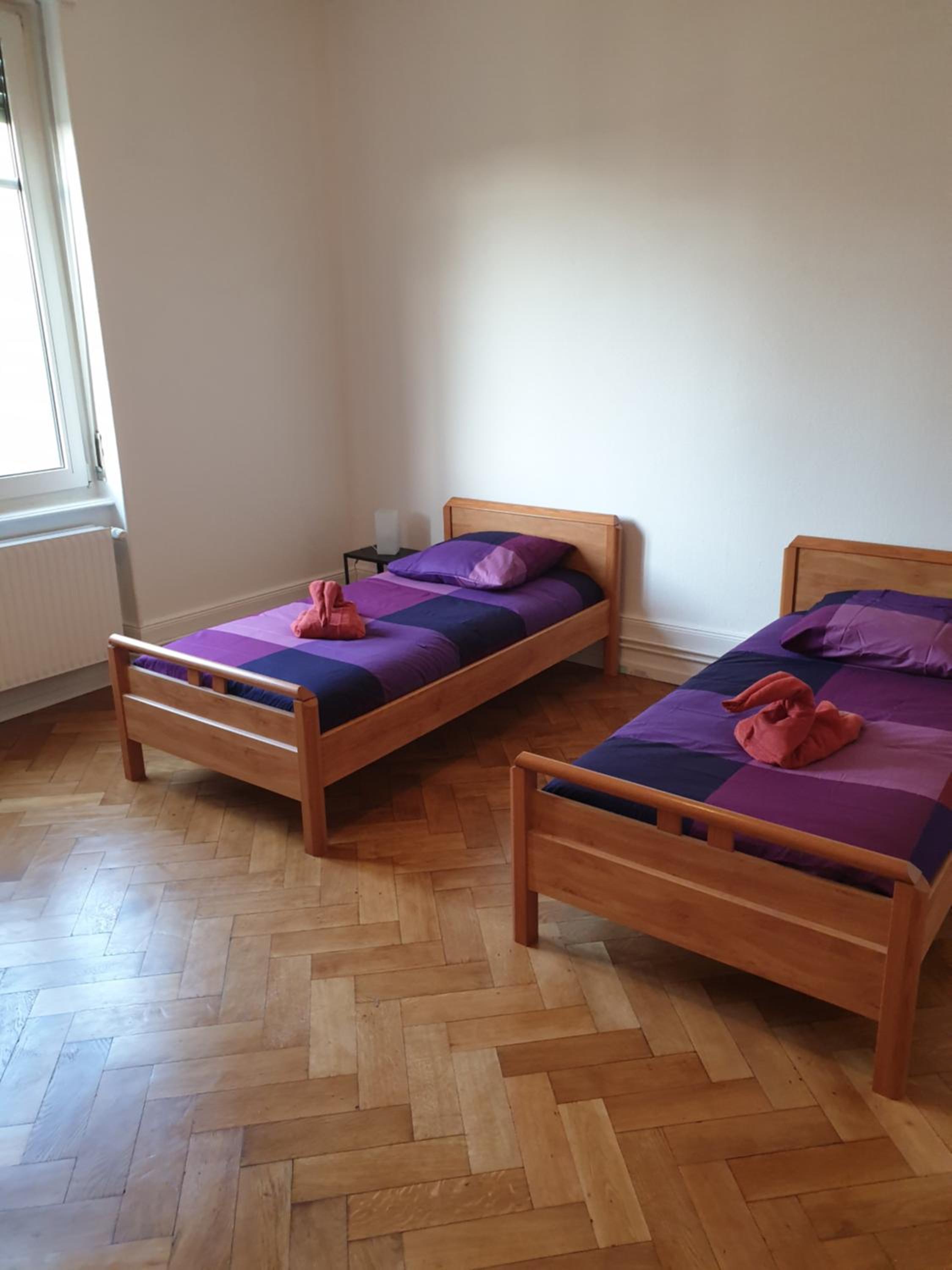 Appartement confortable Centre Strasbourg