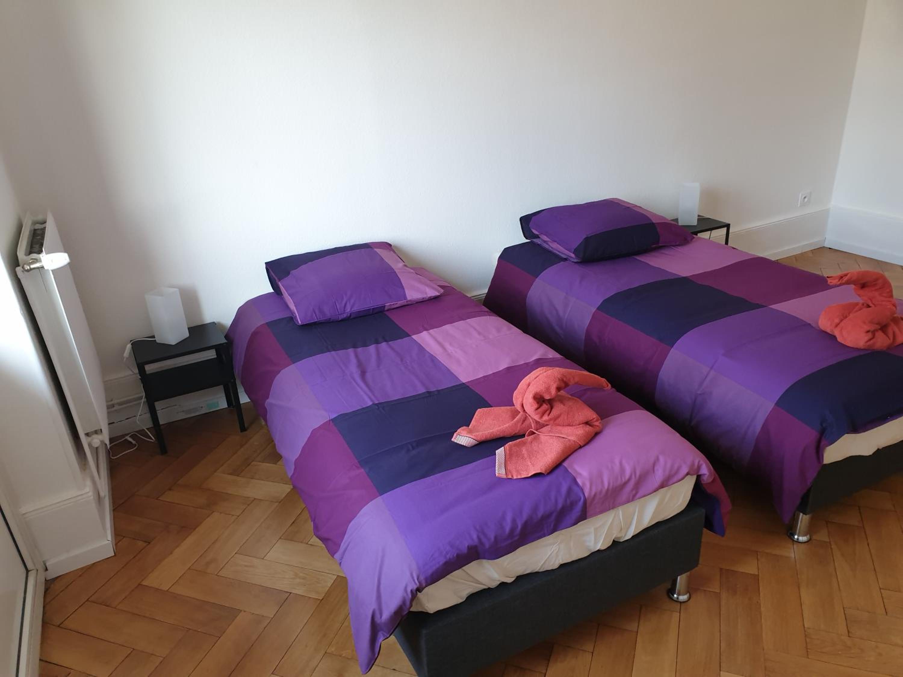 Appartement confortable Centre Strasbourg