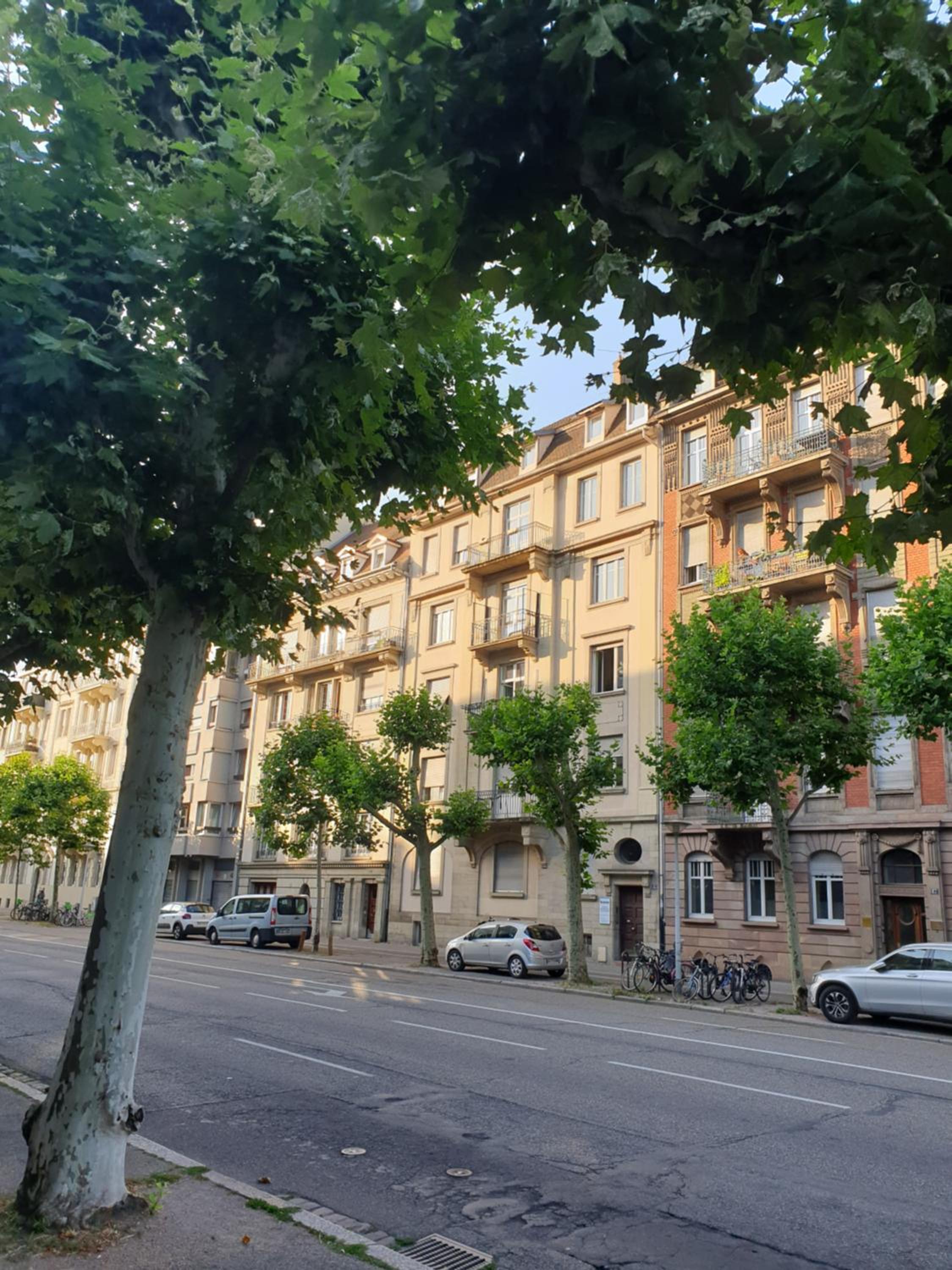 Appartement confortable Centre Strasbourg