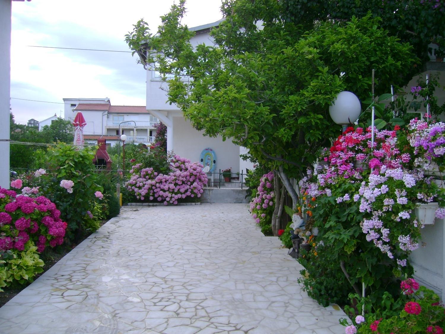 Apartments Rezikica view 3