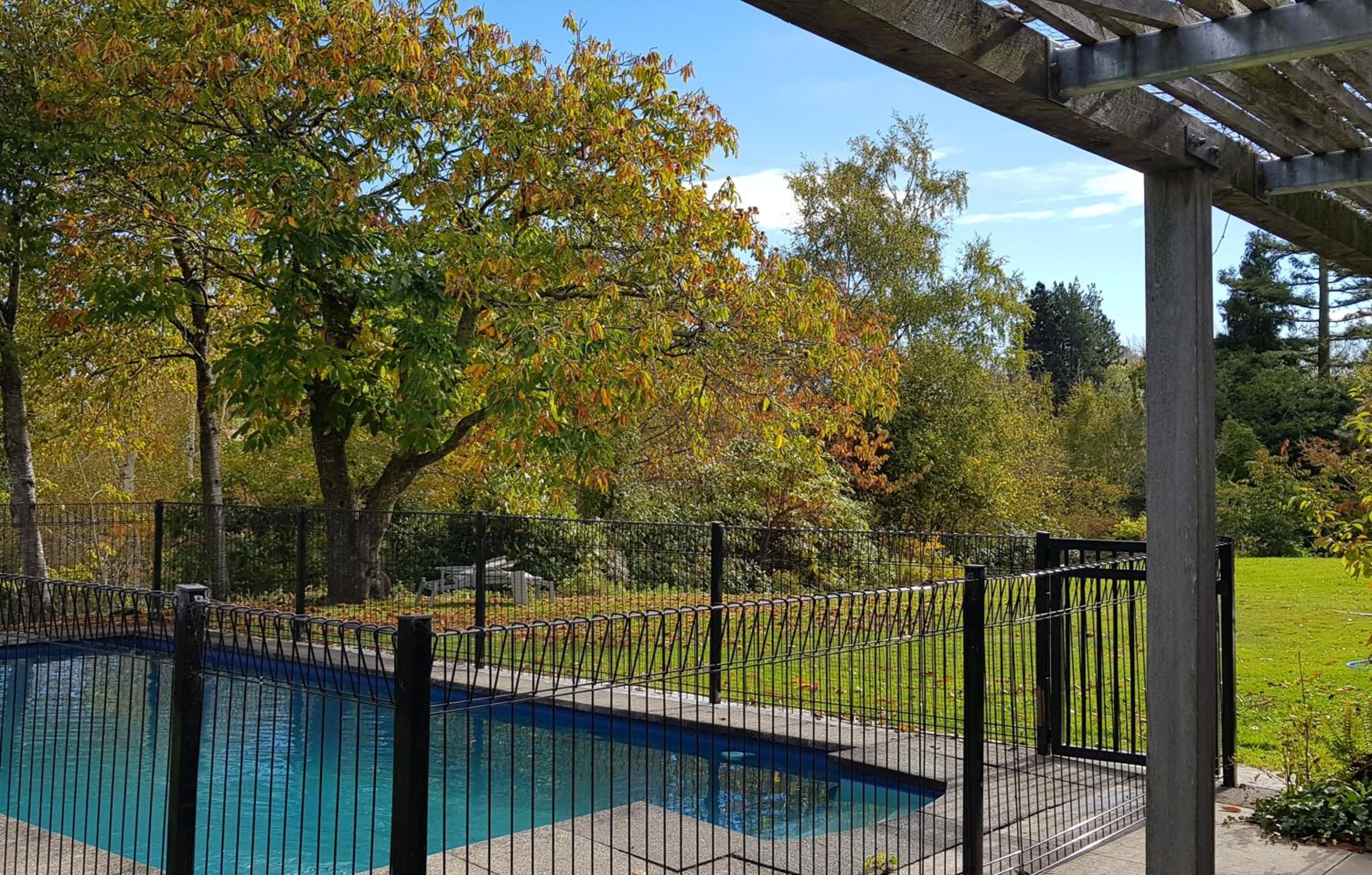 Hazel Tree Homestay view 5
