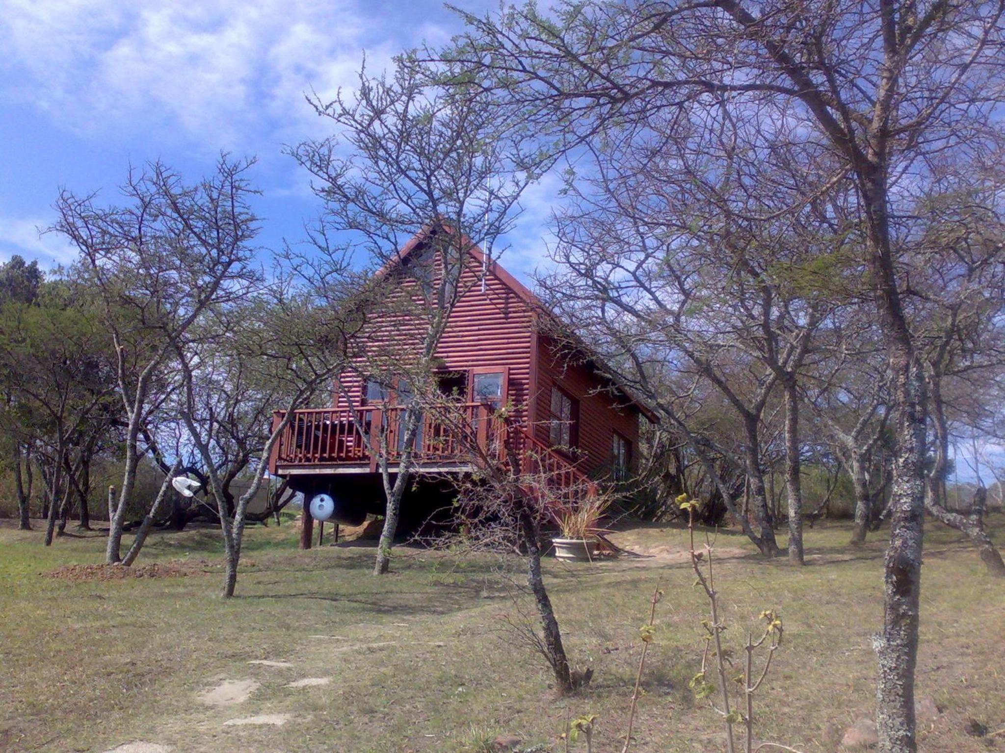 Photo 18