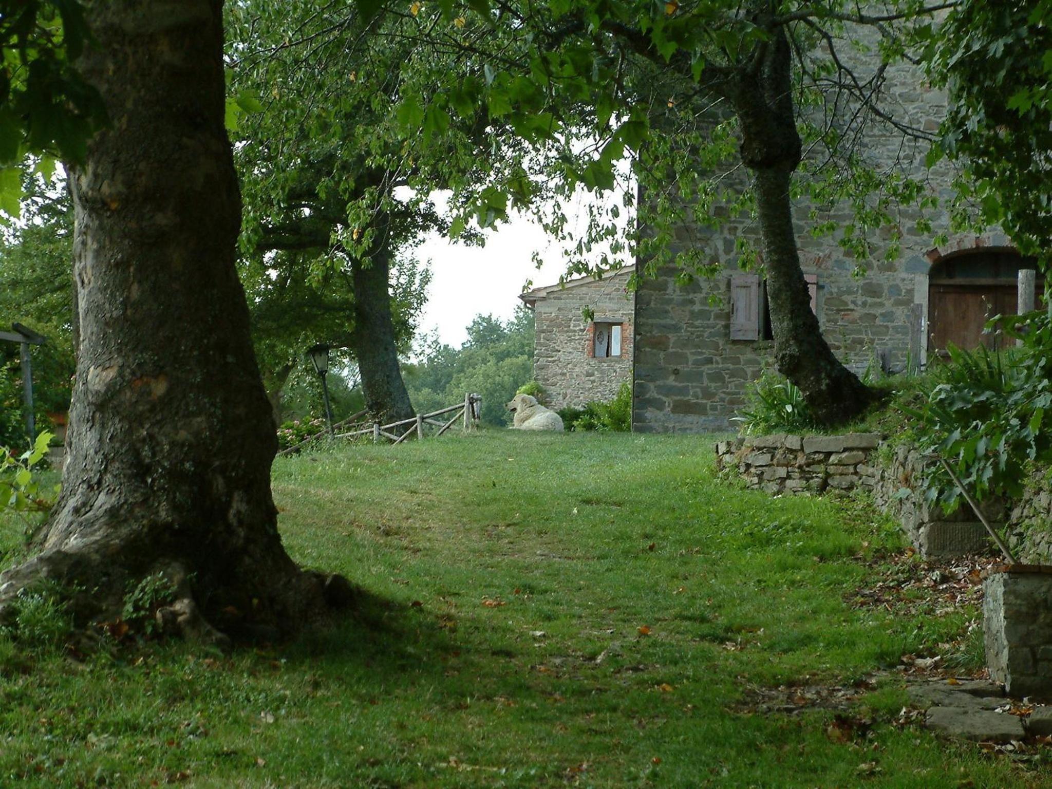 Photo 26