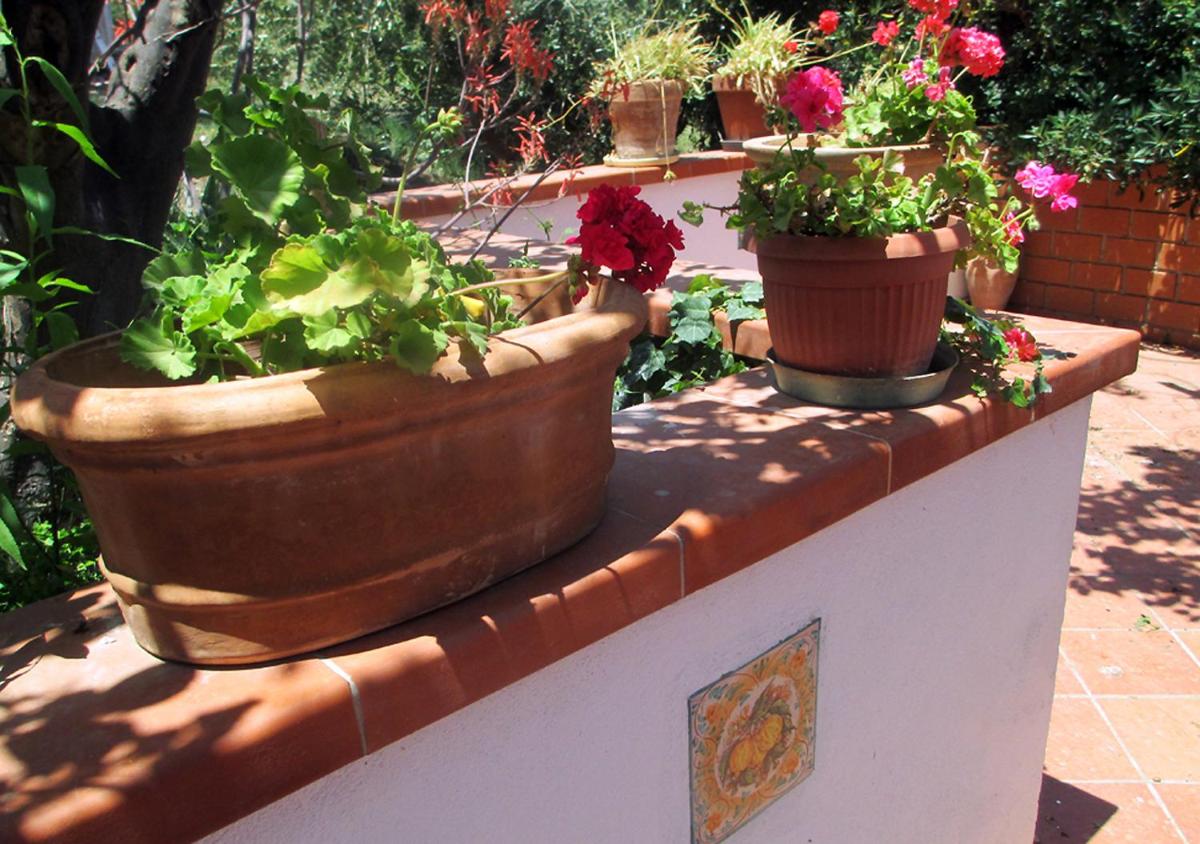 Casa Vacanza nell'Orto photo 5