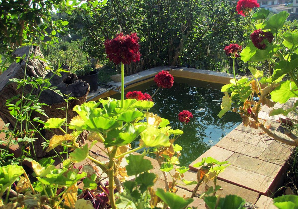 Casa Vacanza nell'Orto photo 4