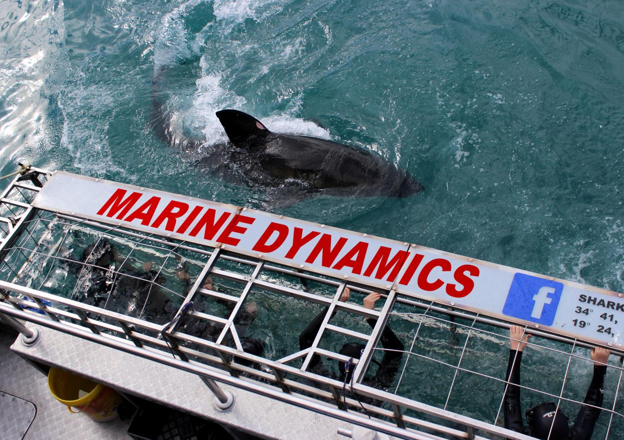 other