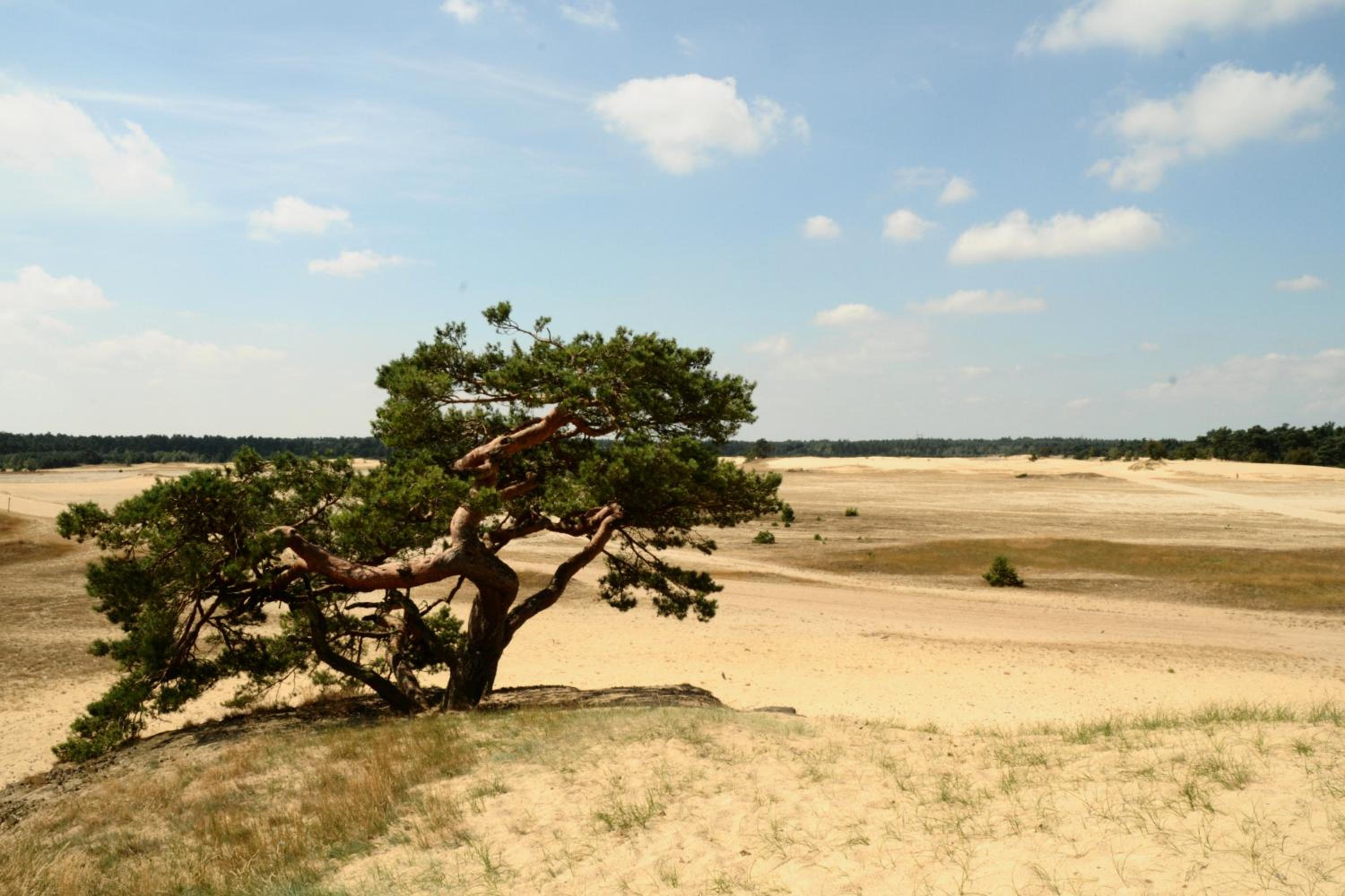 Holiday Home Zeewolde