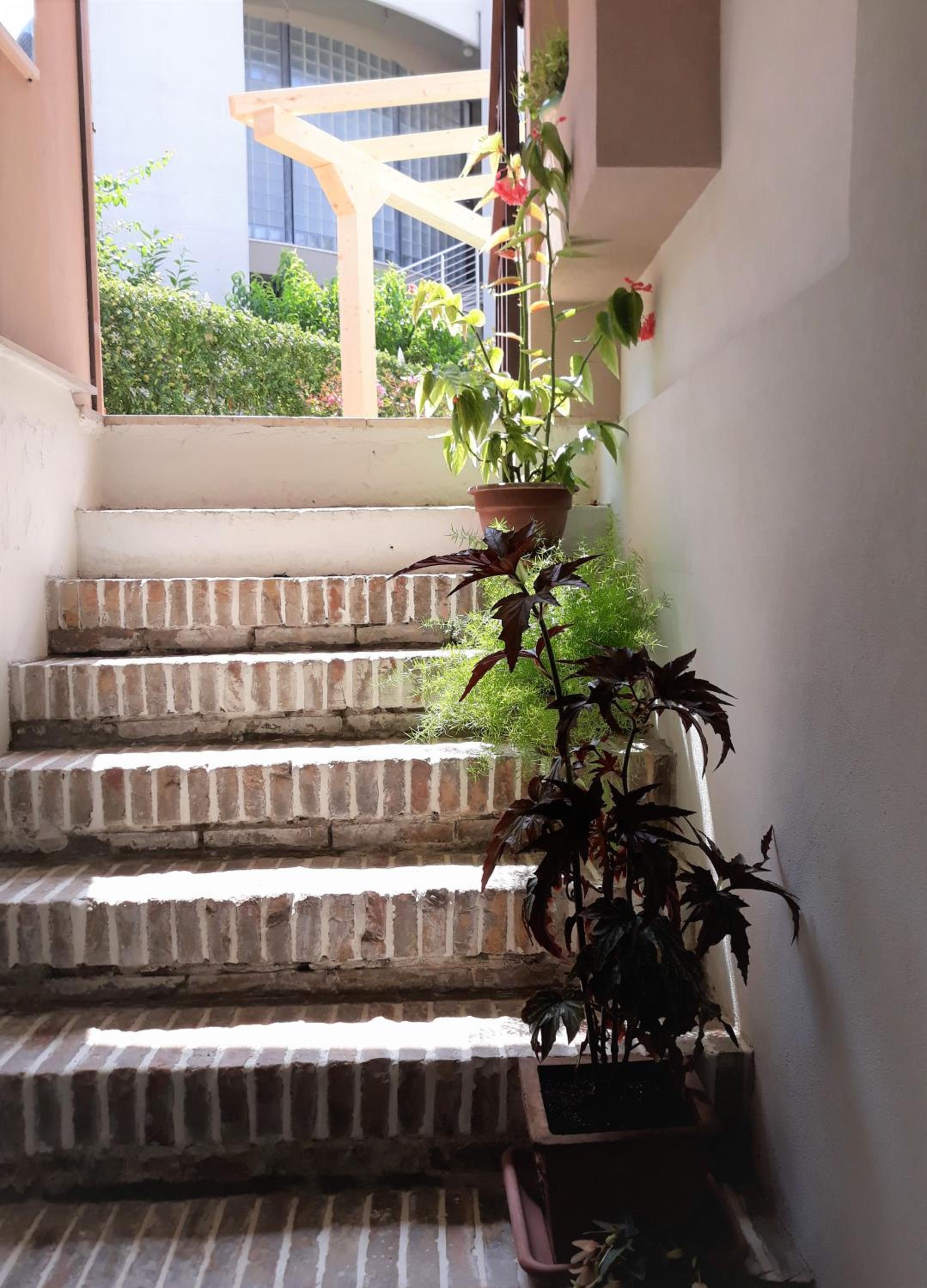 B&B Romeo, photo 28