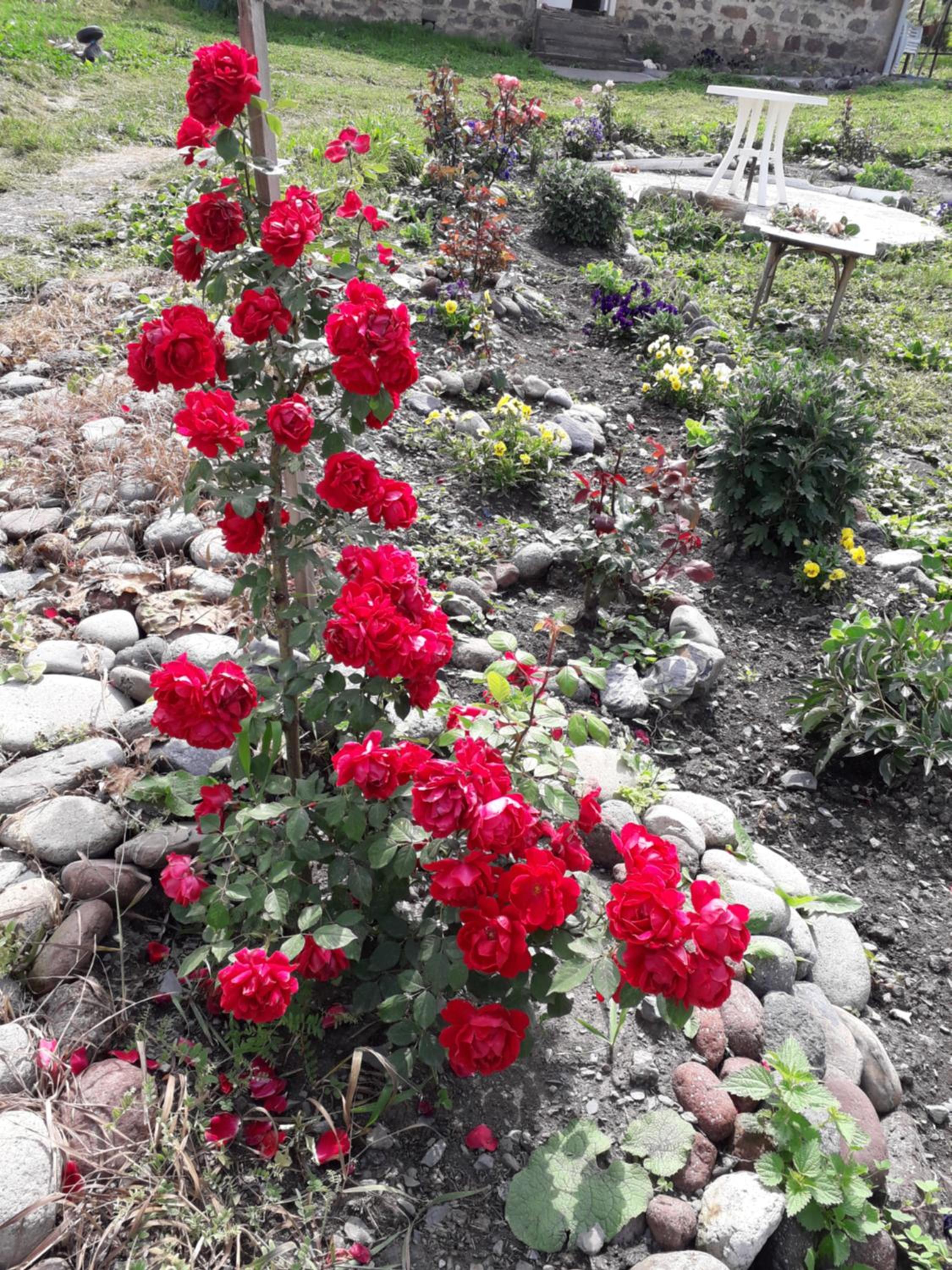 Photo 19