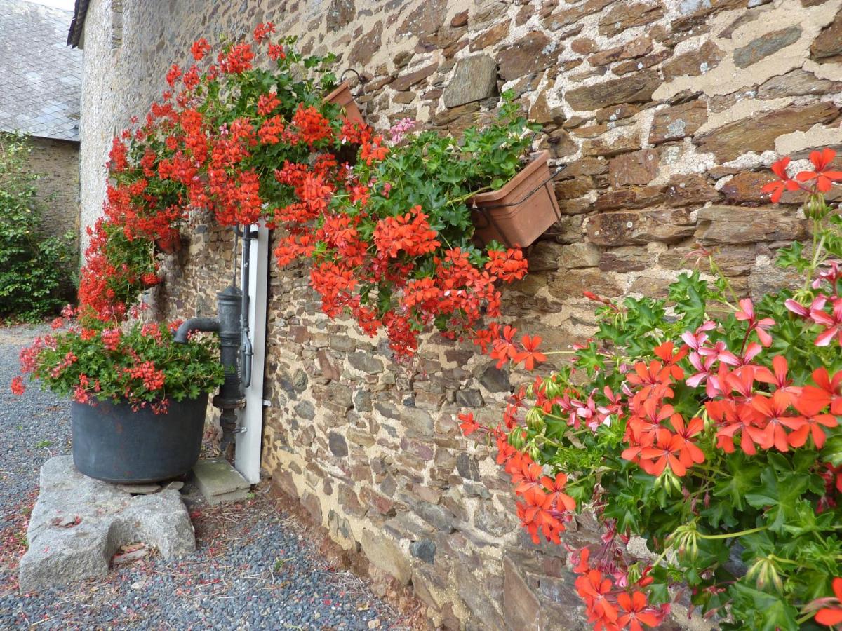 B&B Chambres d'hôtes Ferme Mahyas view 3
