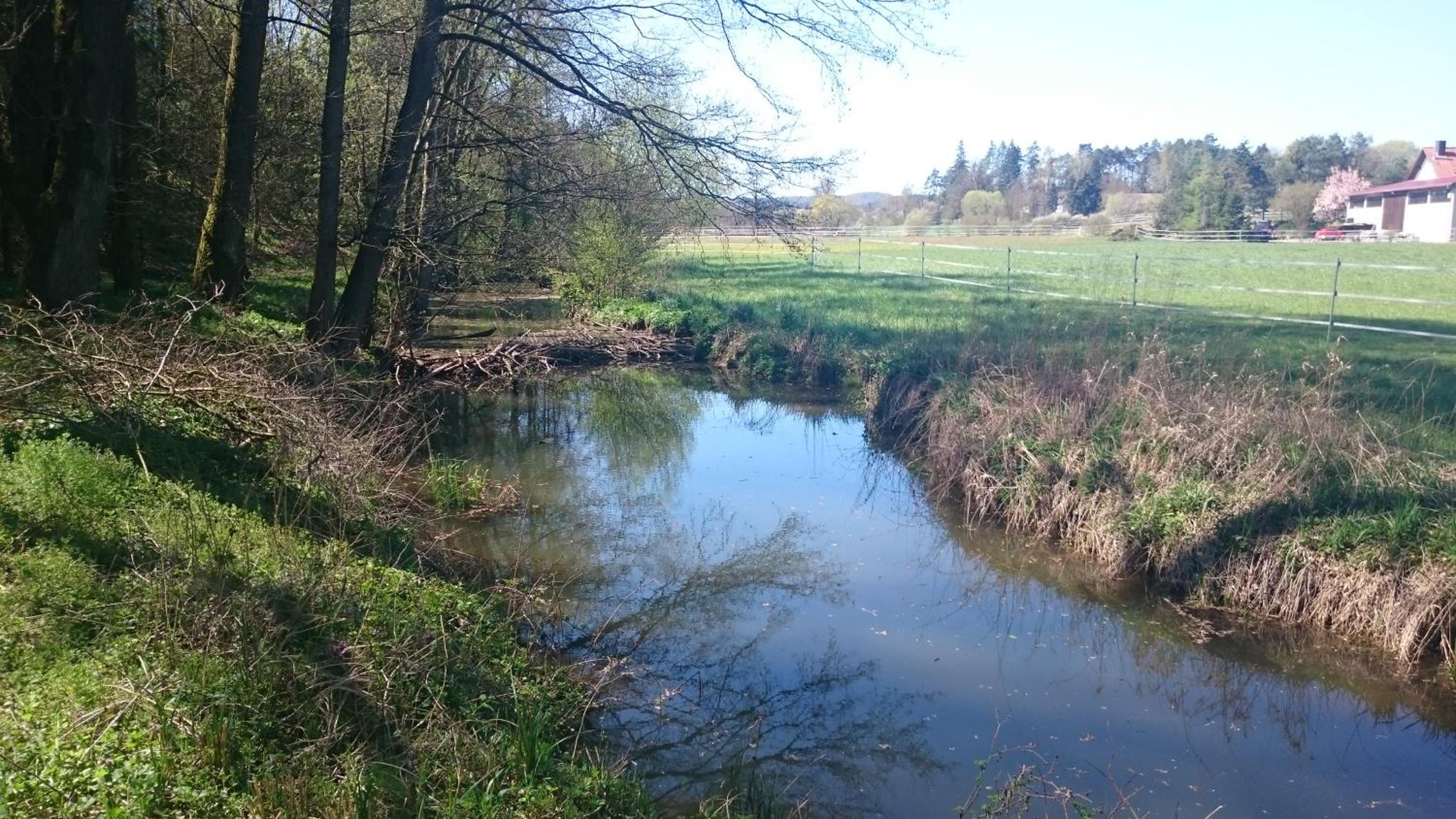 Große Ferienwohnung auf dem Pferdehof Nähe Bamberg, Coburg, Schweinfurt