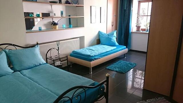 Große Ferienwohnung auf dem Pferdehof Nähe Bamberg, Coburg, Schweinfurt