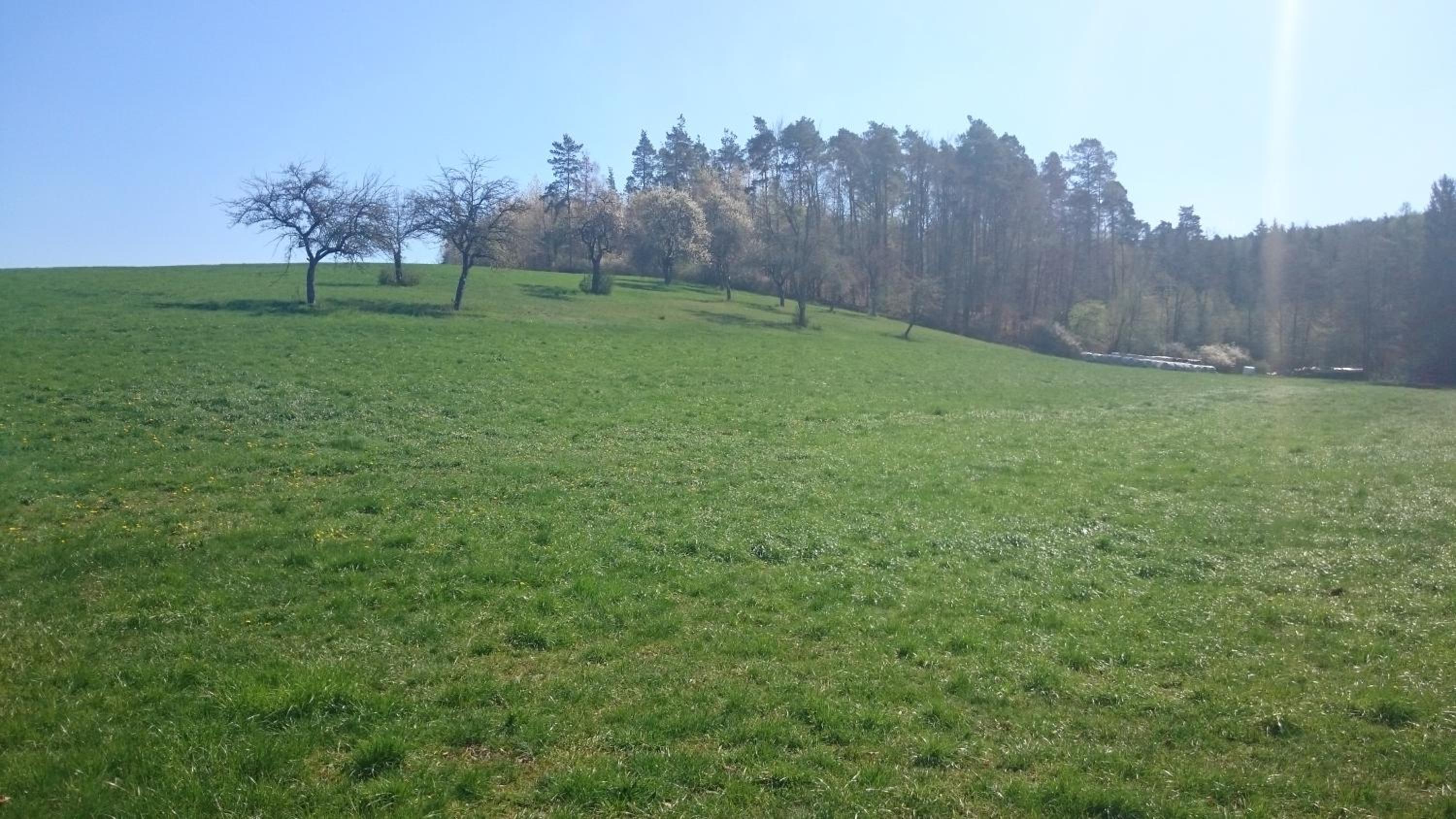 Große Ferienwohnung auf dem Pferdehof Nähe Bamberg, Coburg, Schweinfurt