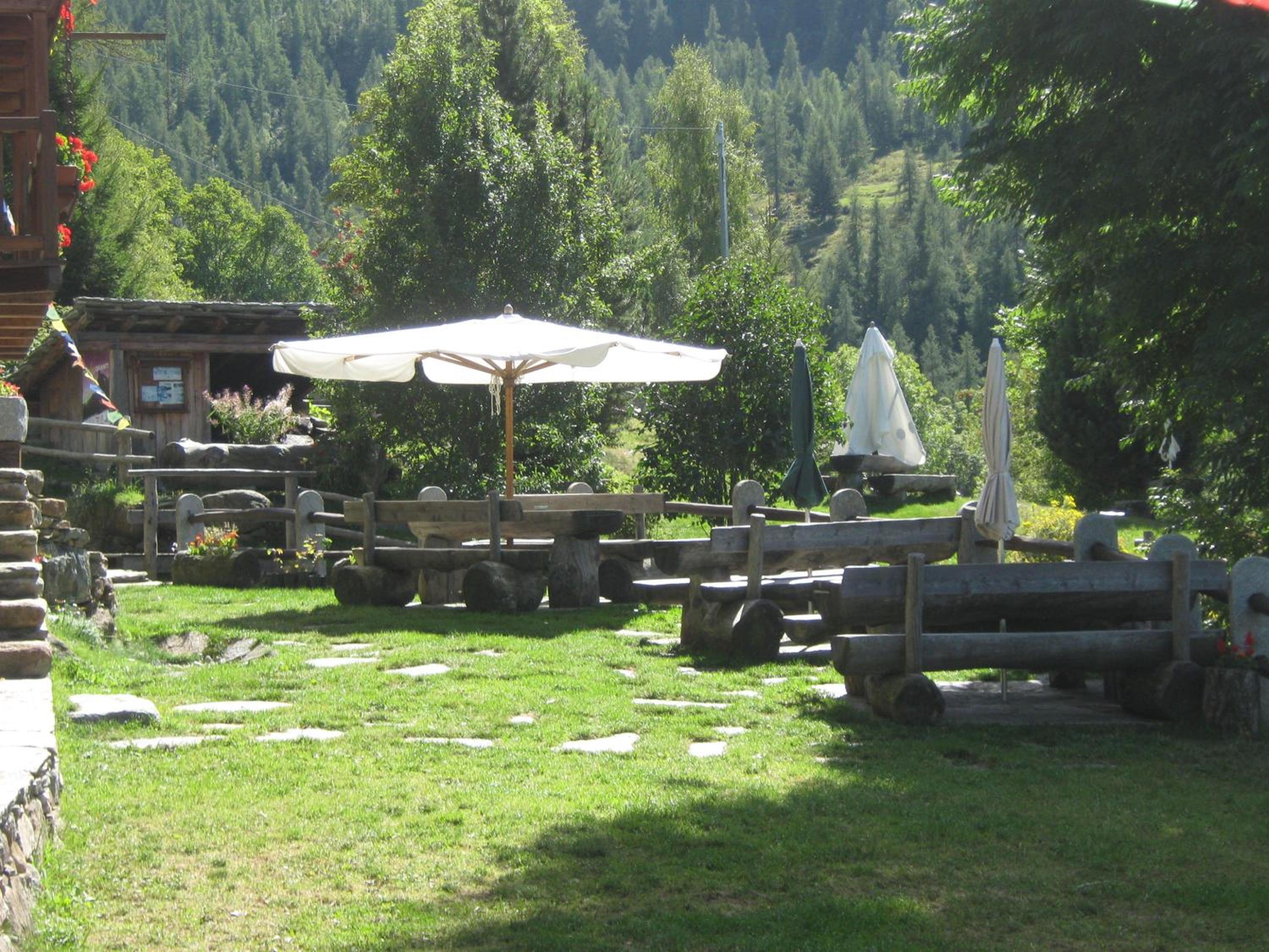 Photo 11