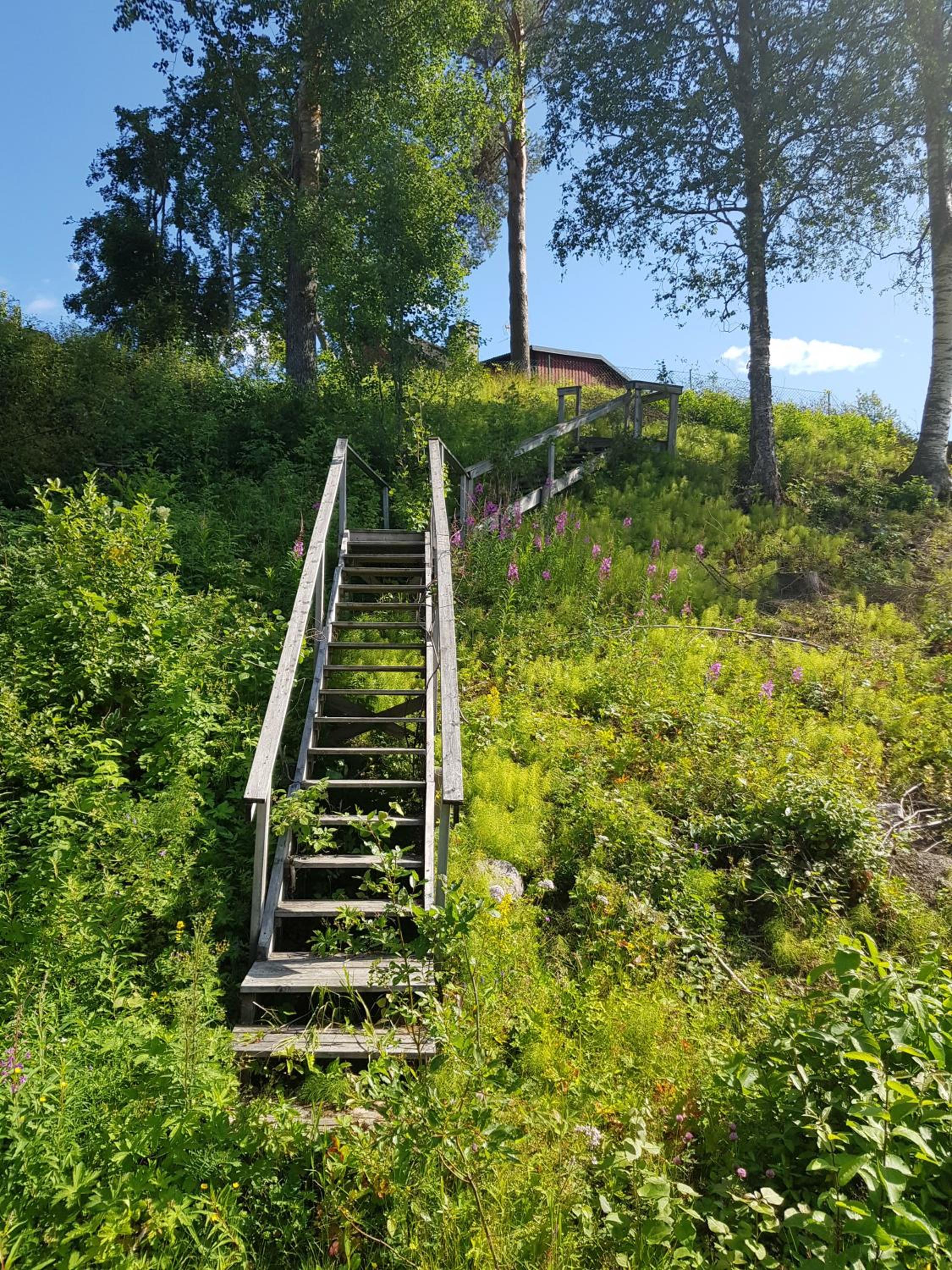 Photo 38