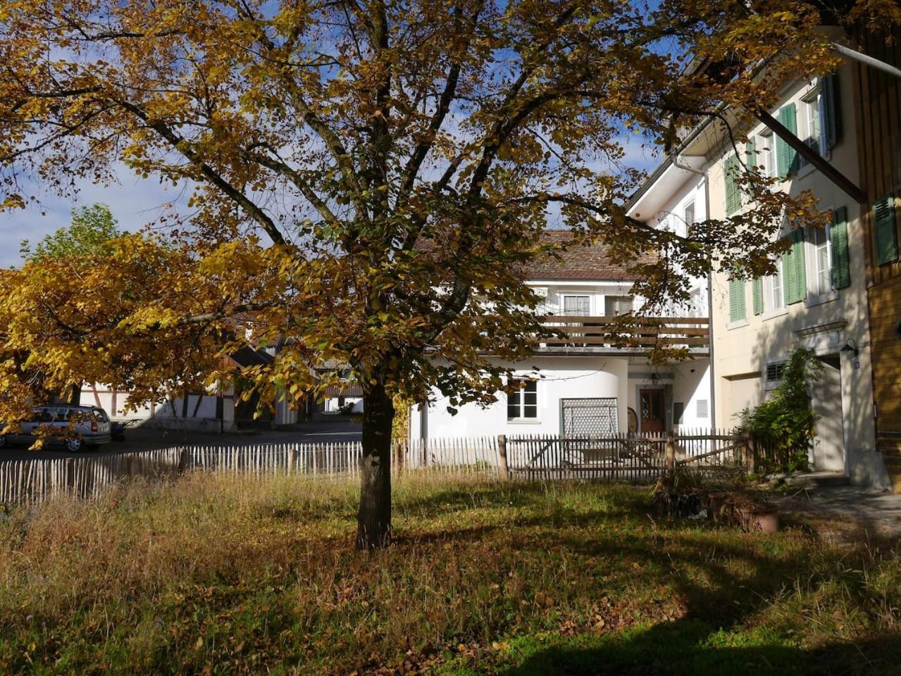 Photo 30