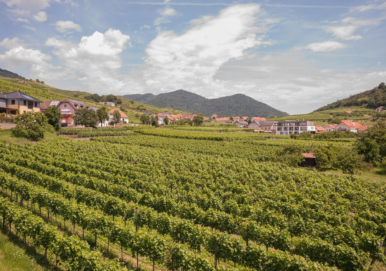 STIERSCHNEIDER'S Weinhotel Wachau & Wiazhaus