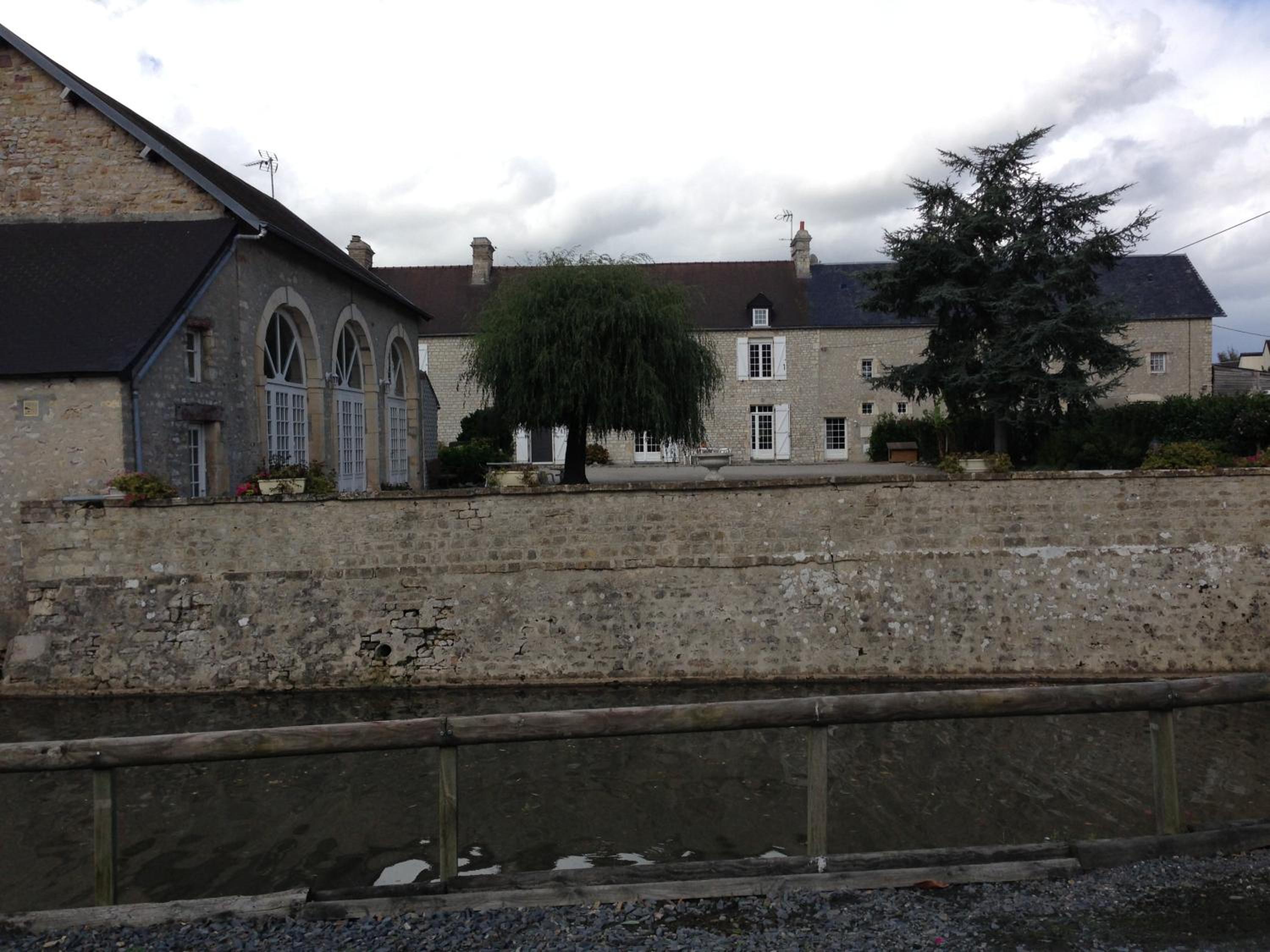 Photo 11
