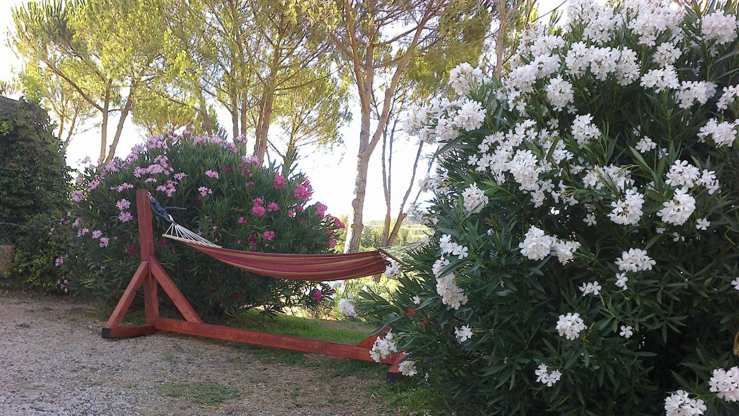 Agriturismo Podere Mulinaccio view 5