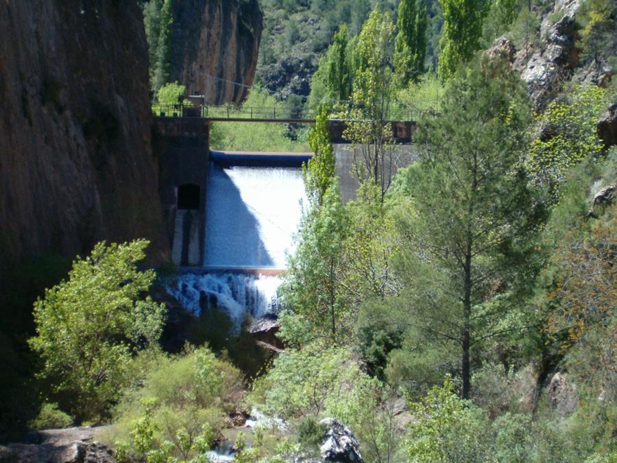 Photo 23