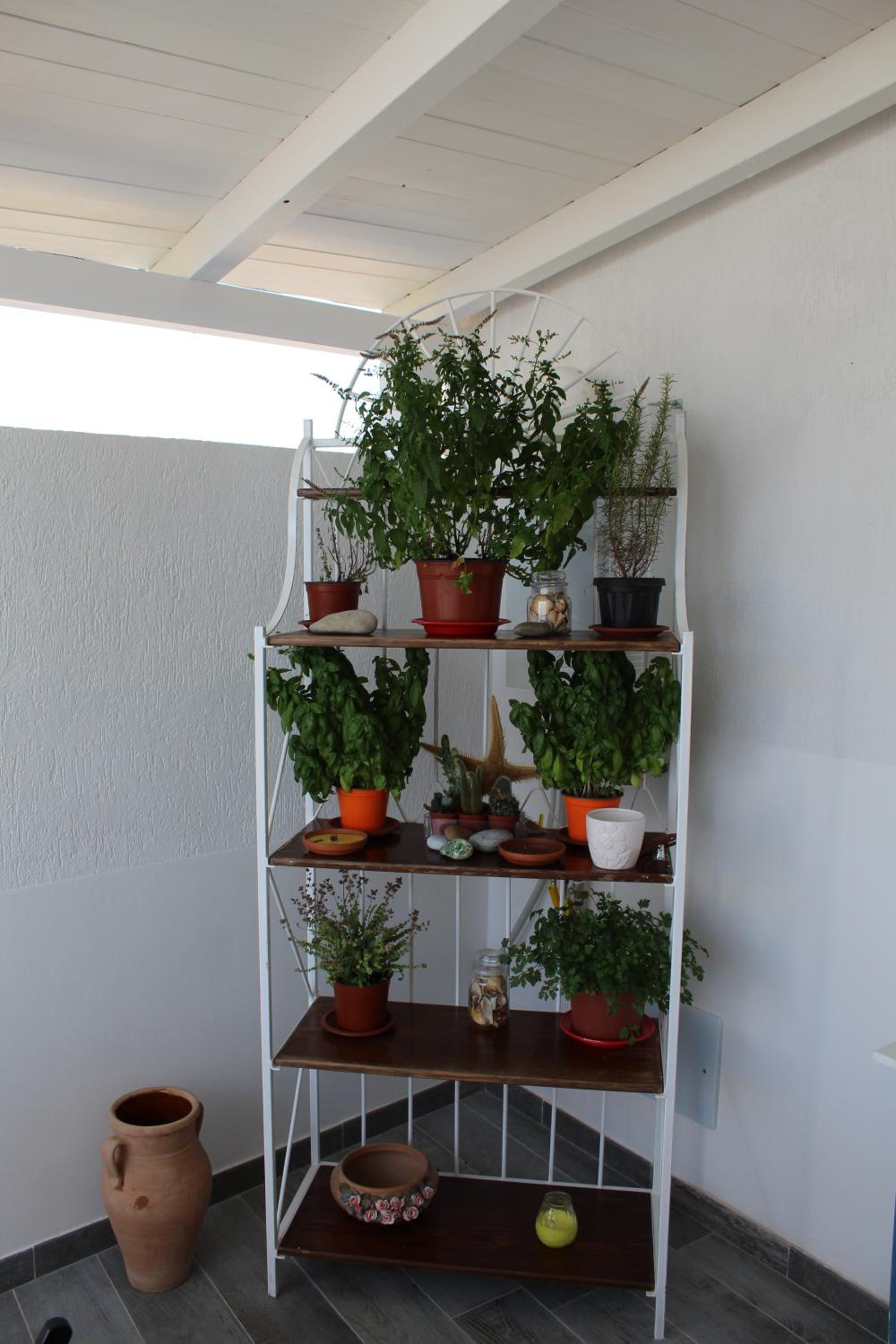 Photo 44