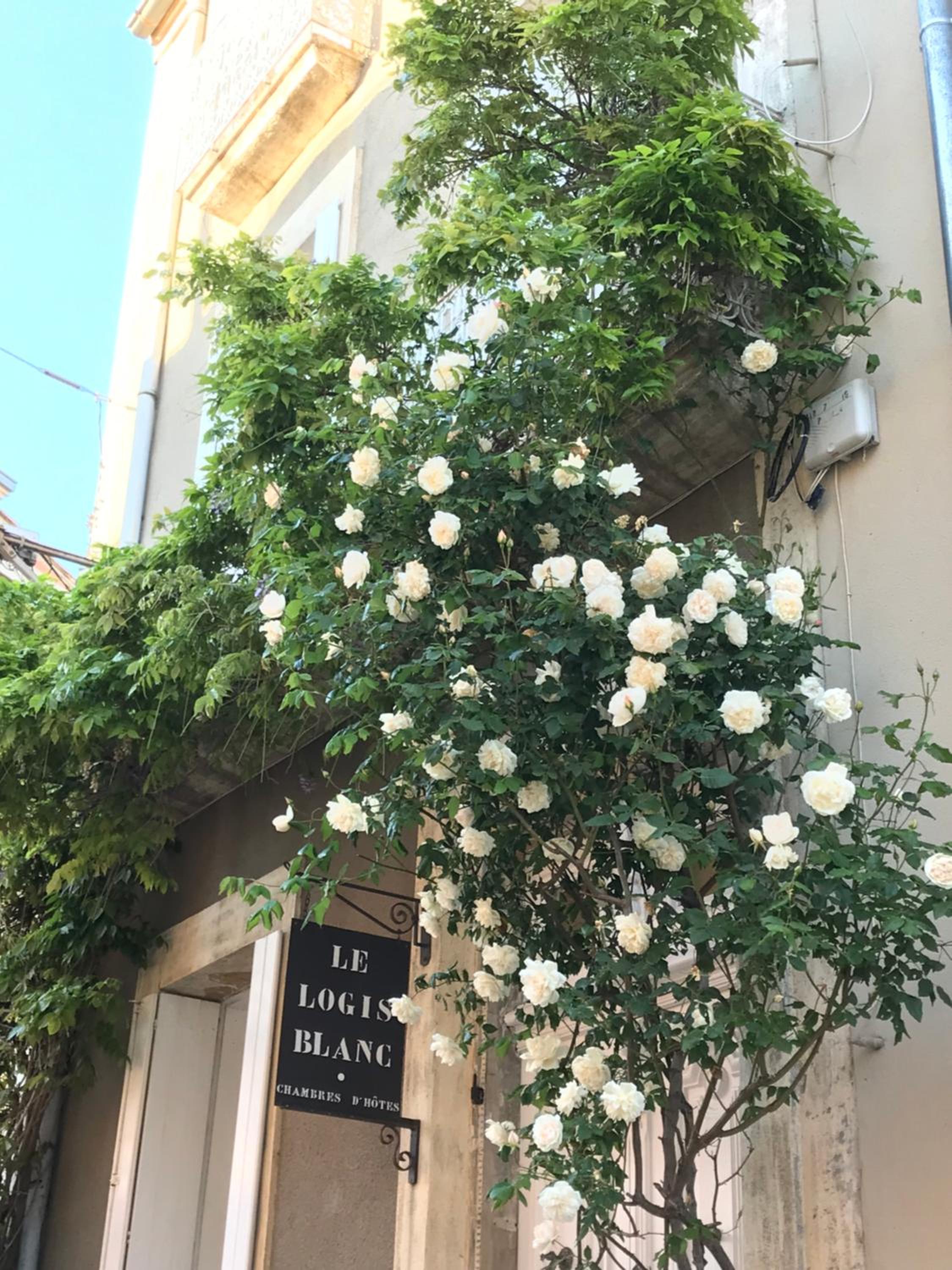 Le logis blanc bed&breakfast, photo 37