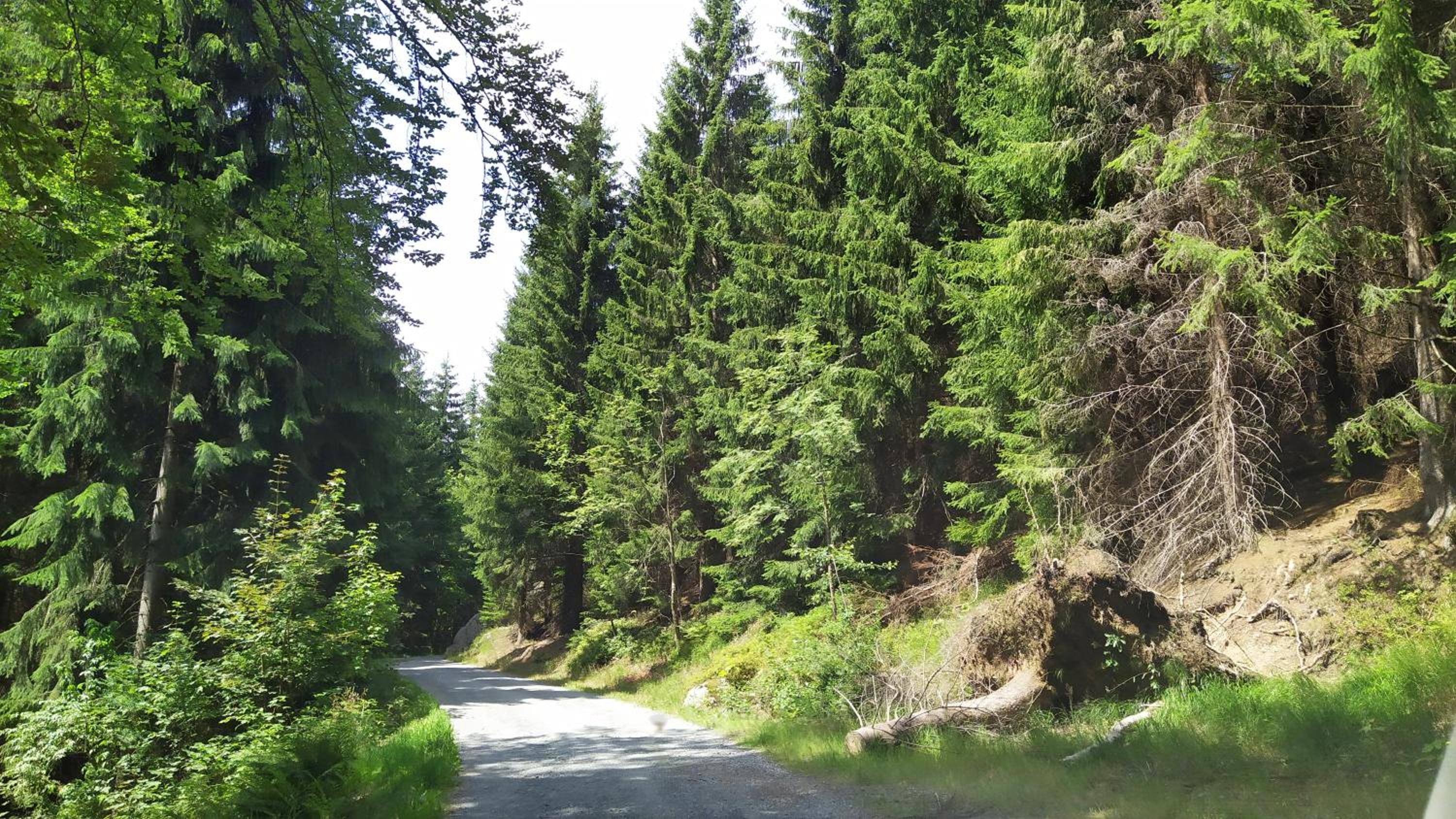 Greizer Kammhütte Gaststätte & Pension