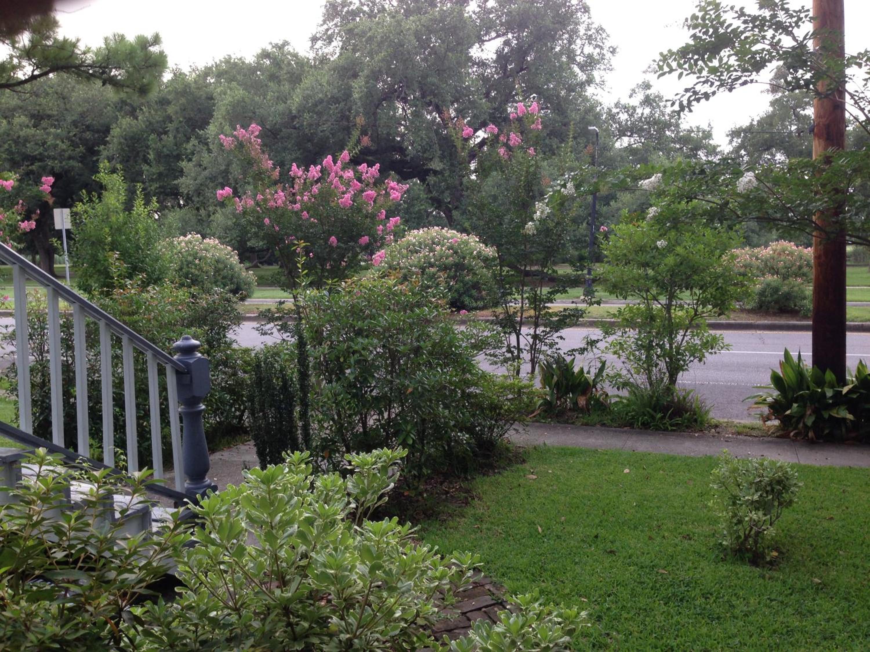 New Orleans Vacations - Oakview Bed and Breakfast - Property Image 2