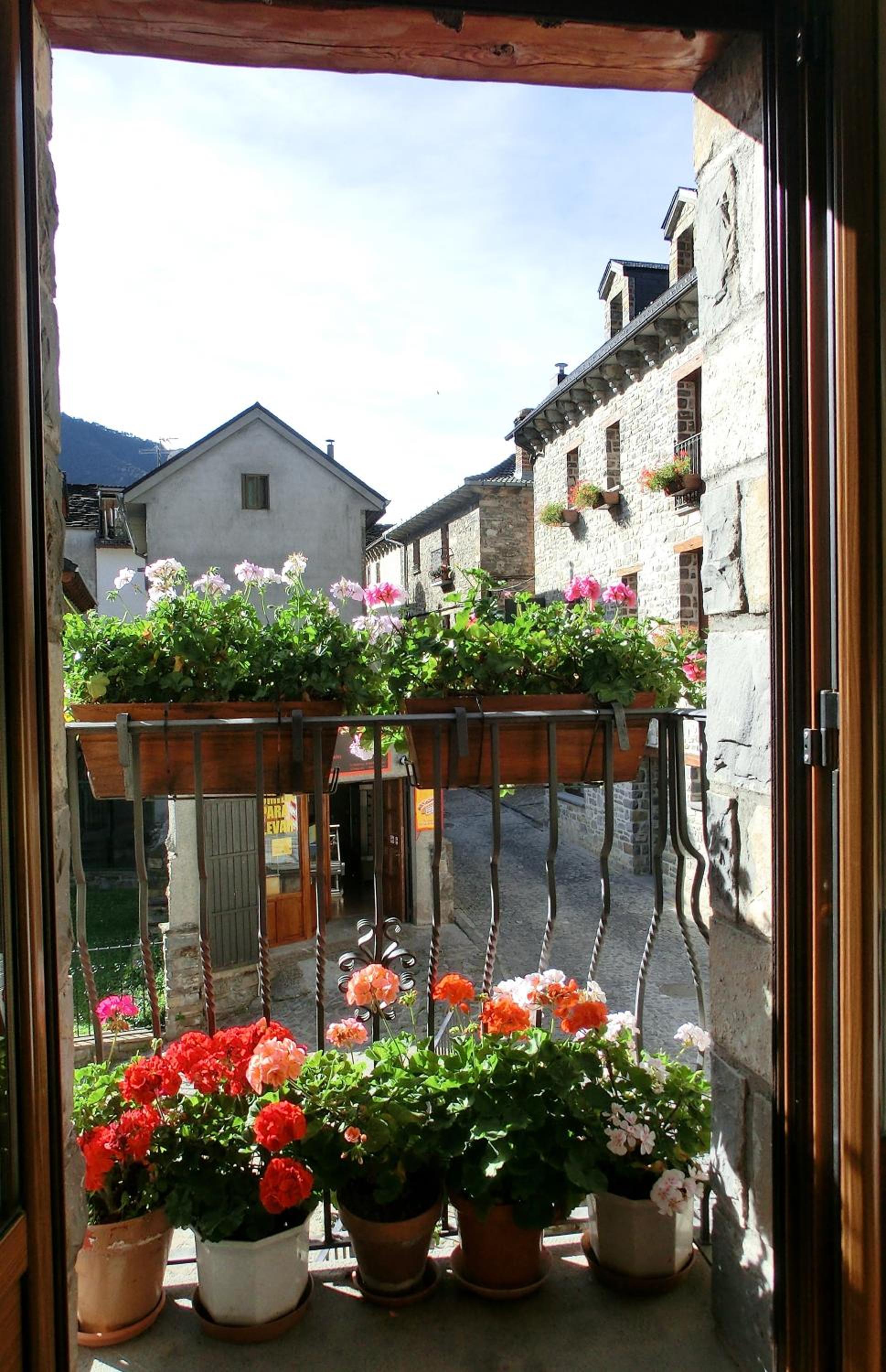 Photo 42