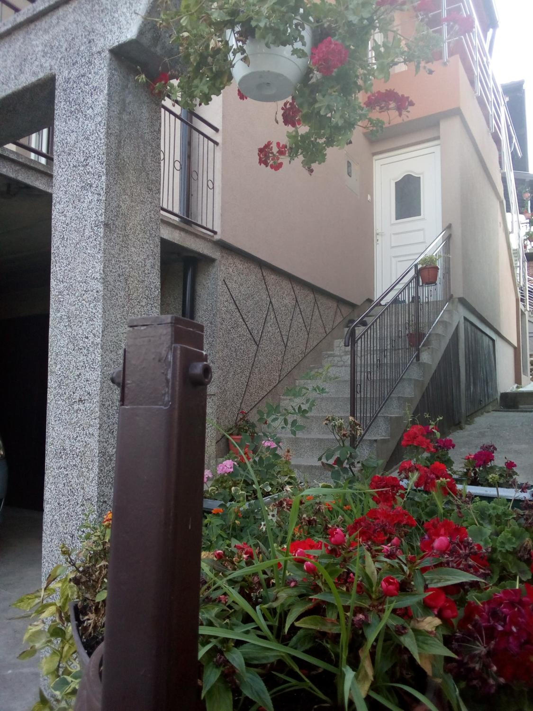 Apartmani 
