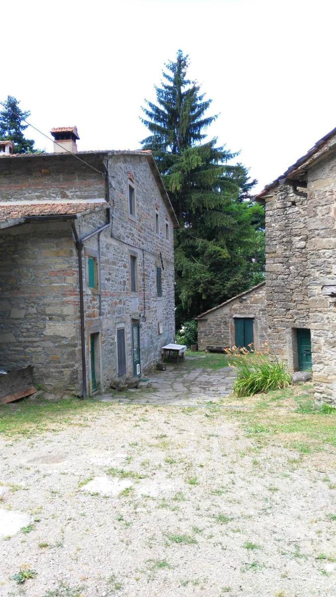 SO MAGIC - La casa nel bosco view 2