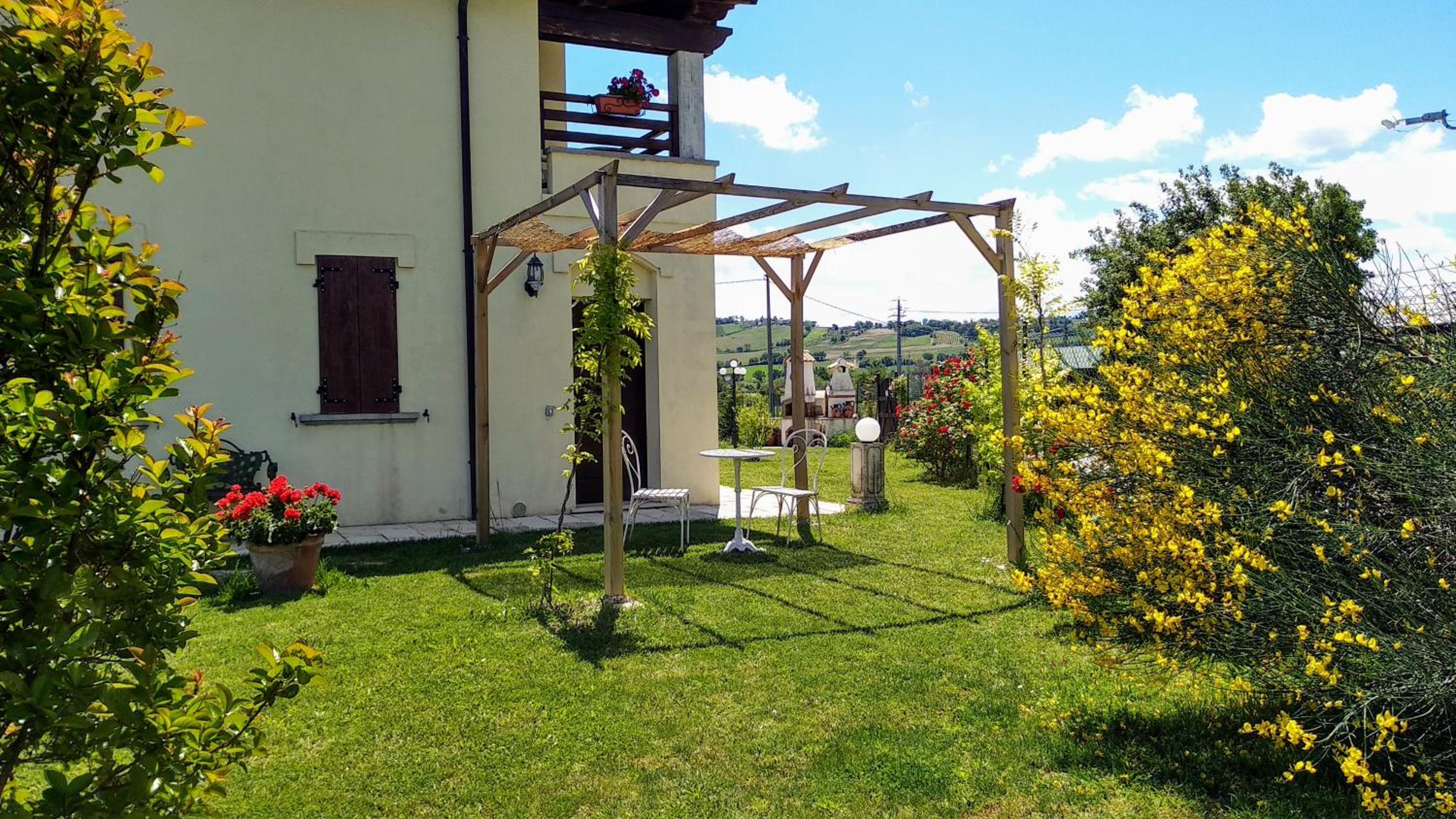 Photo 8
