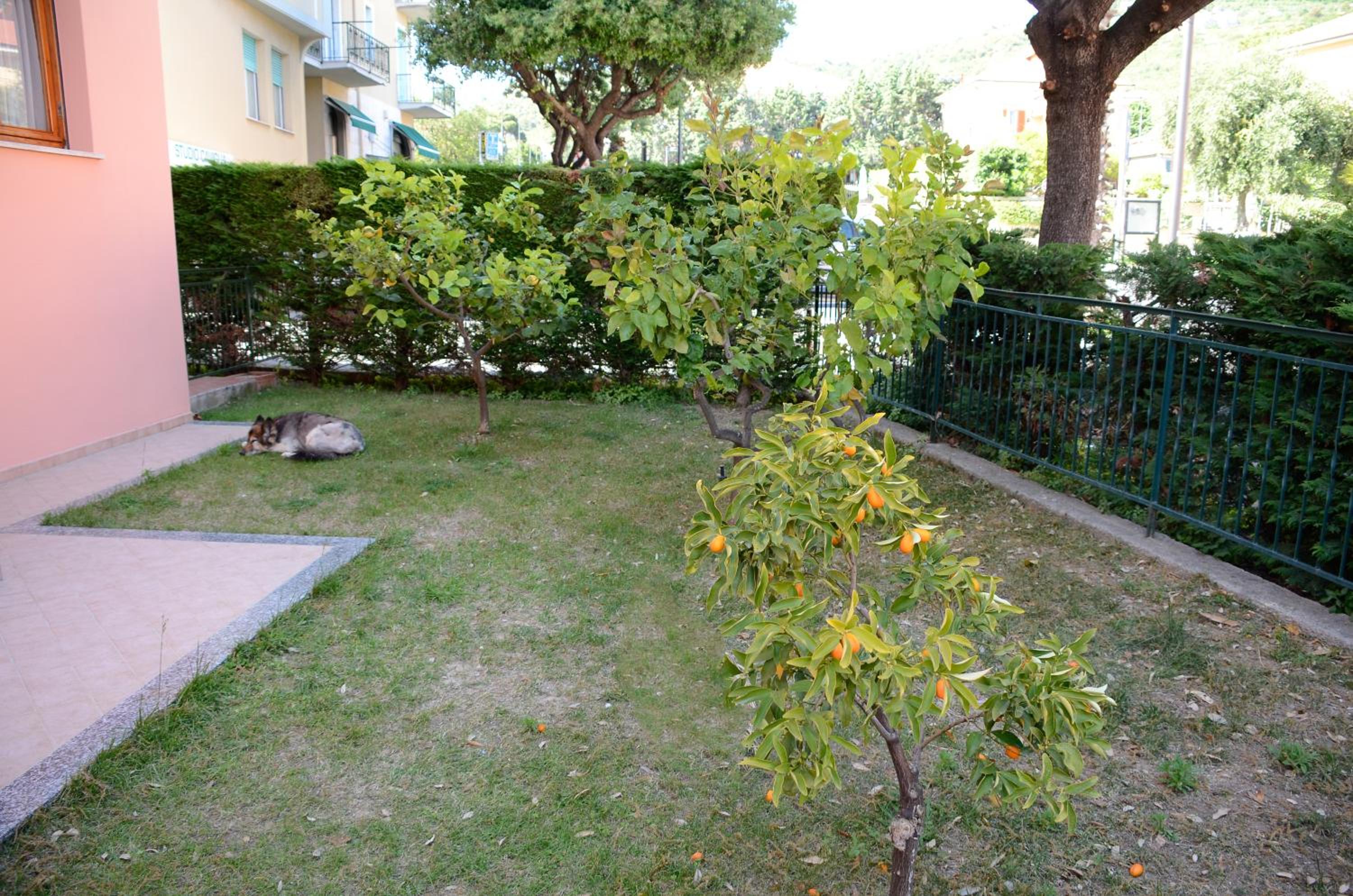 Appartamenti La Residenza view 4