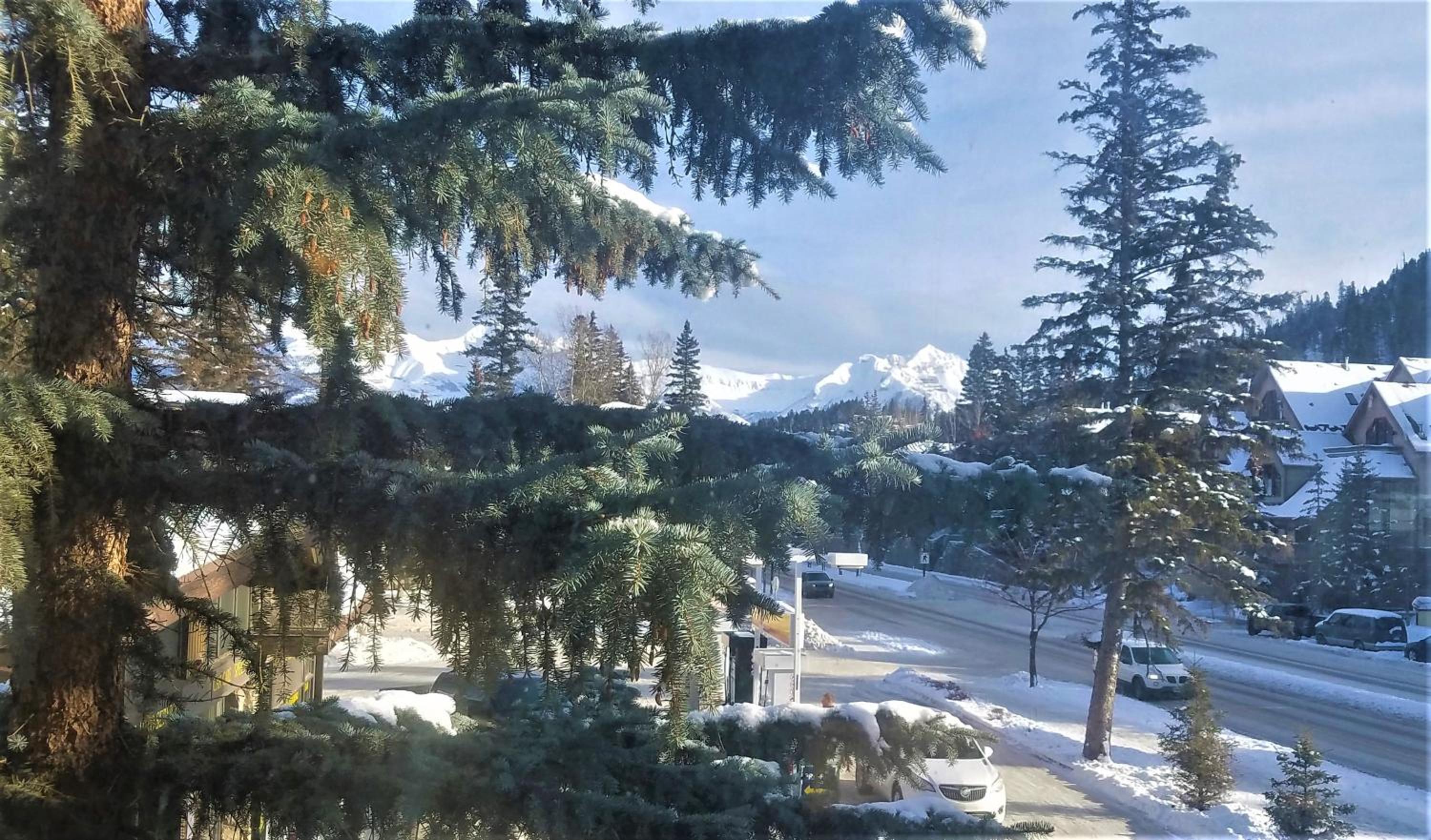 Samesun Banff Hostel