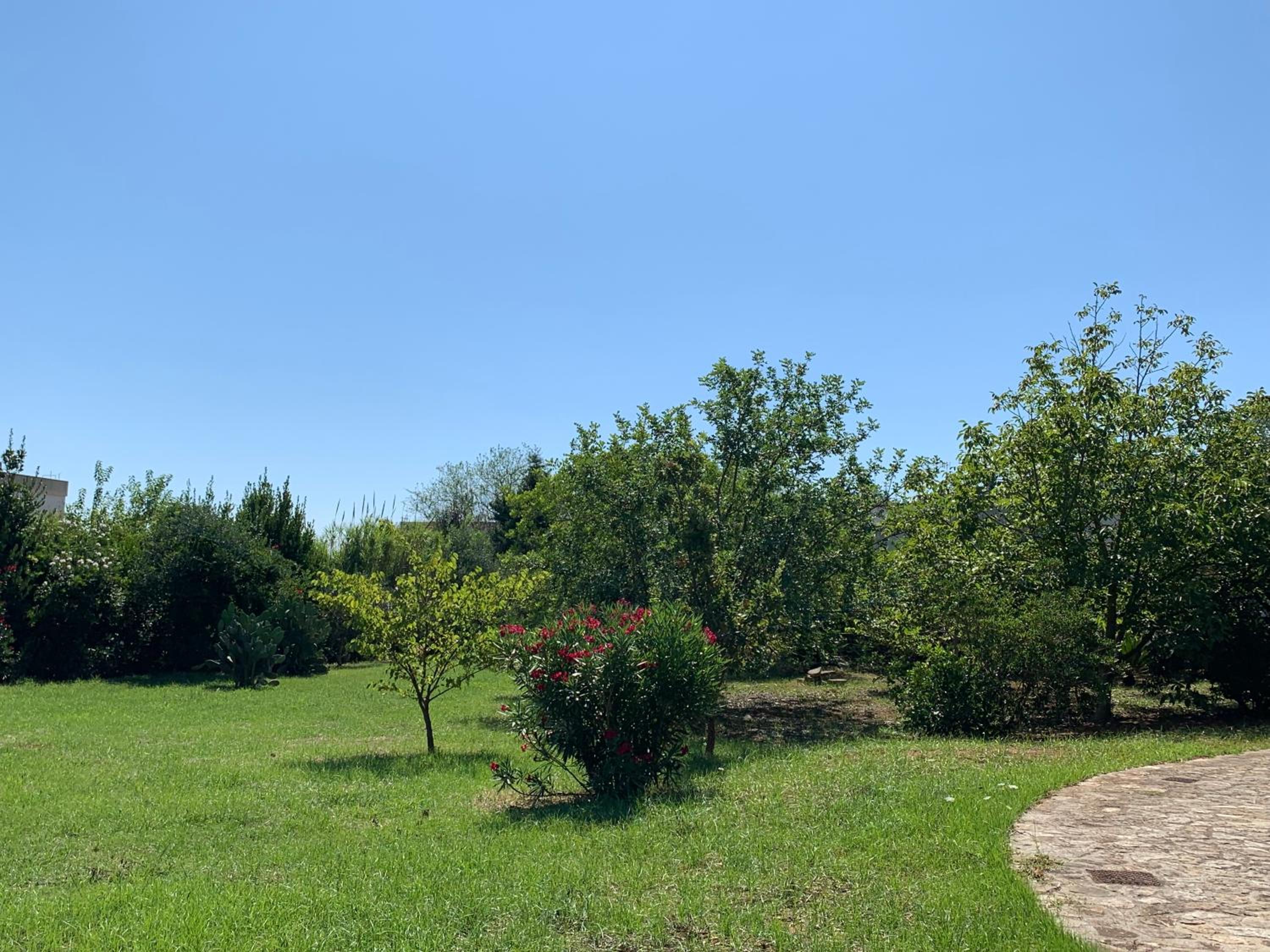 Photo 26