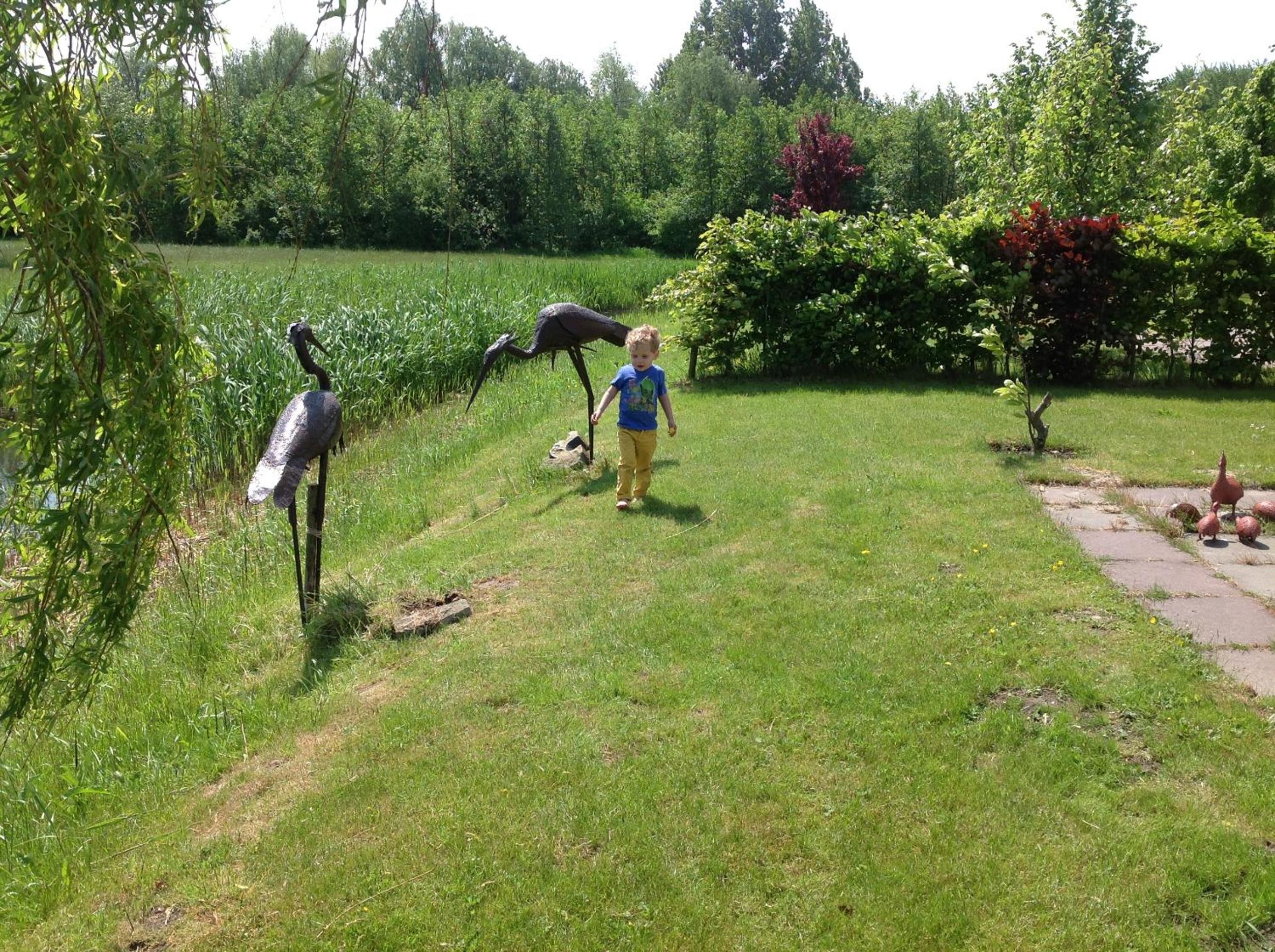 Photo 41