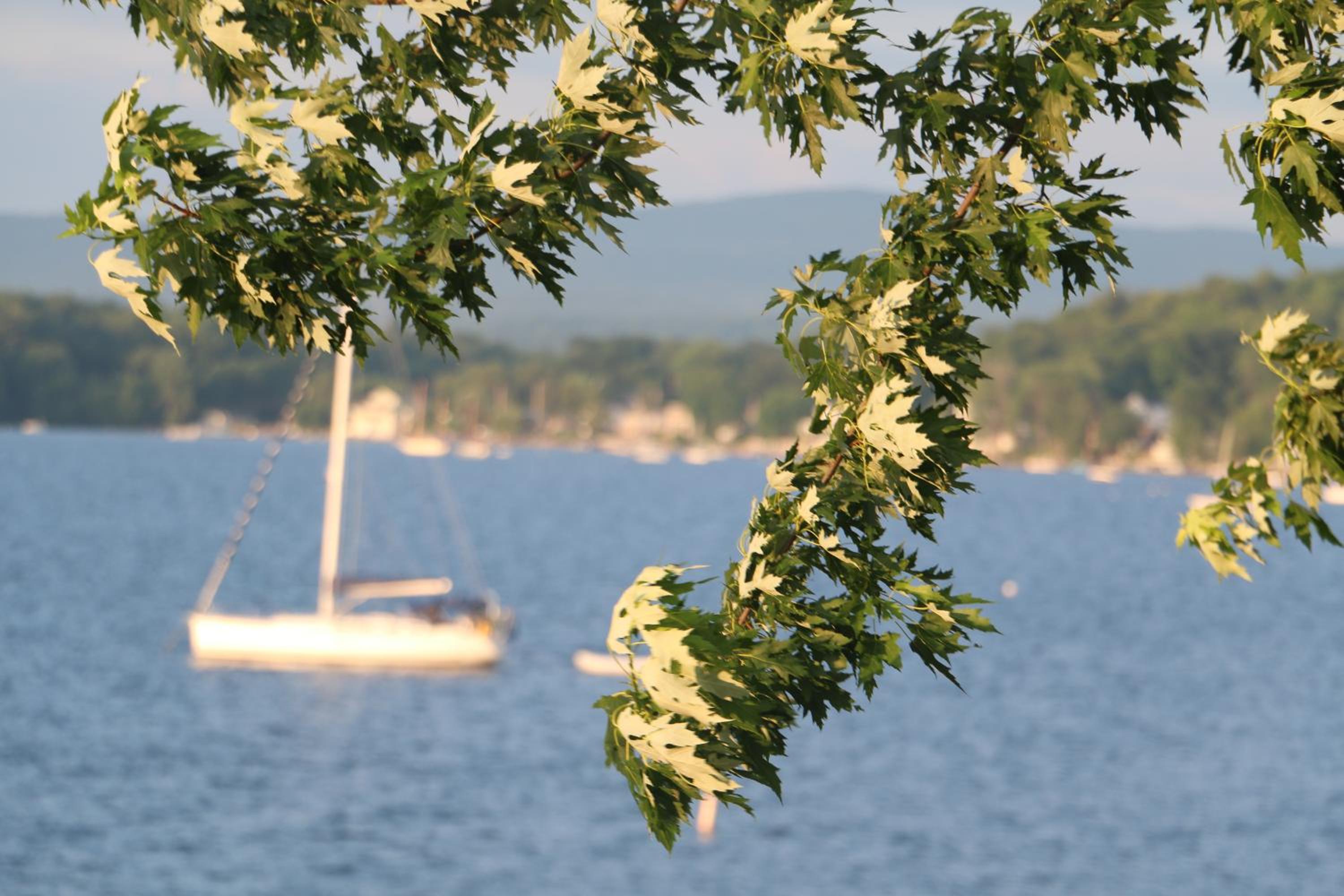 Lakeshore Vermont