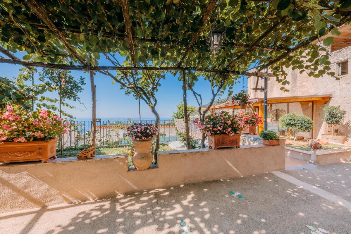 B&B IL CORTILE photo 2