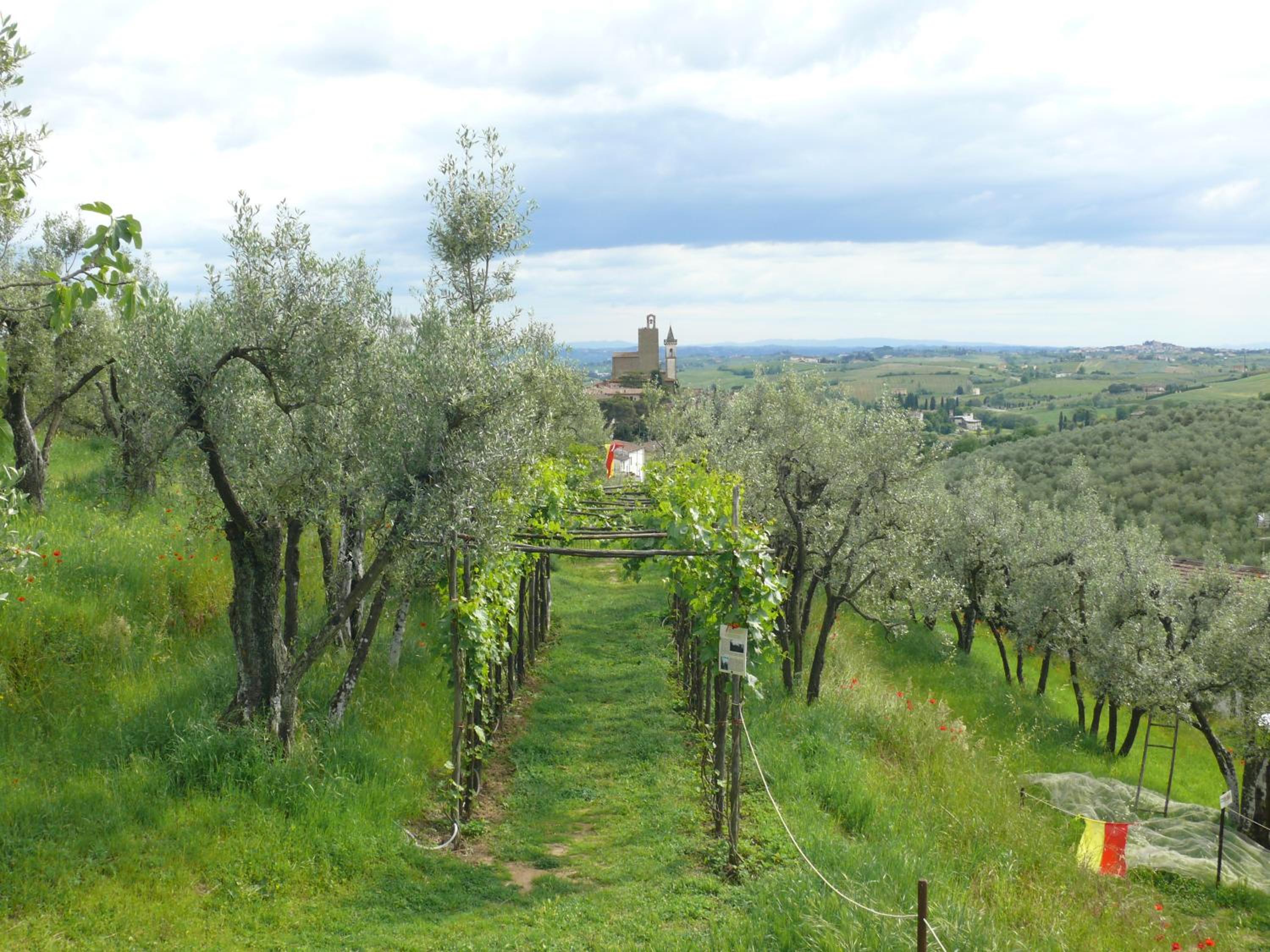 Antica Bottega di Vinci