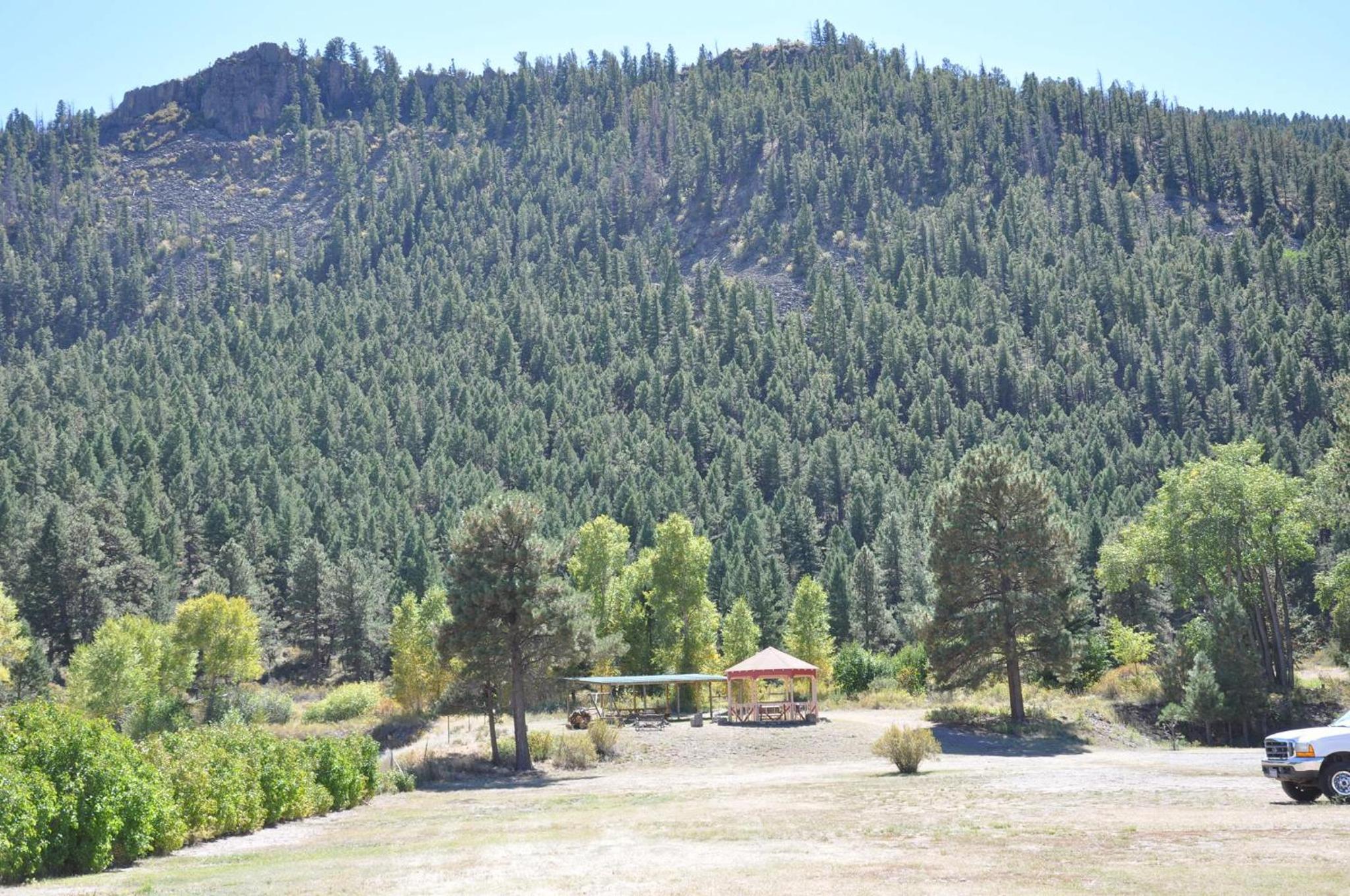 Chinook Cabins & RV Park