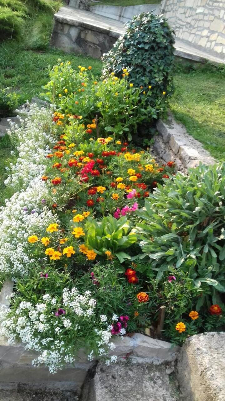 Photo 25