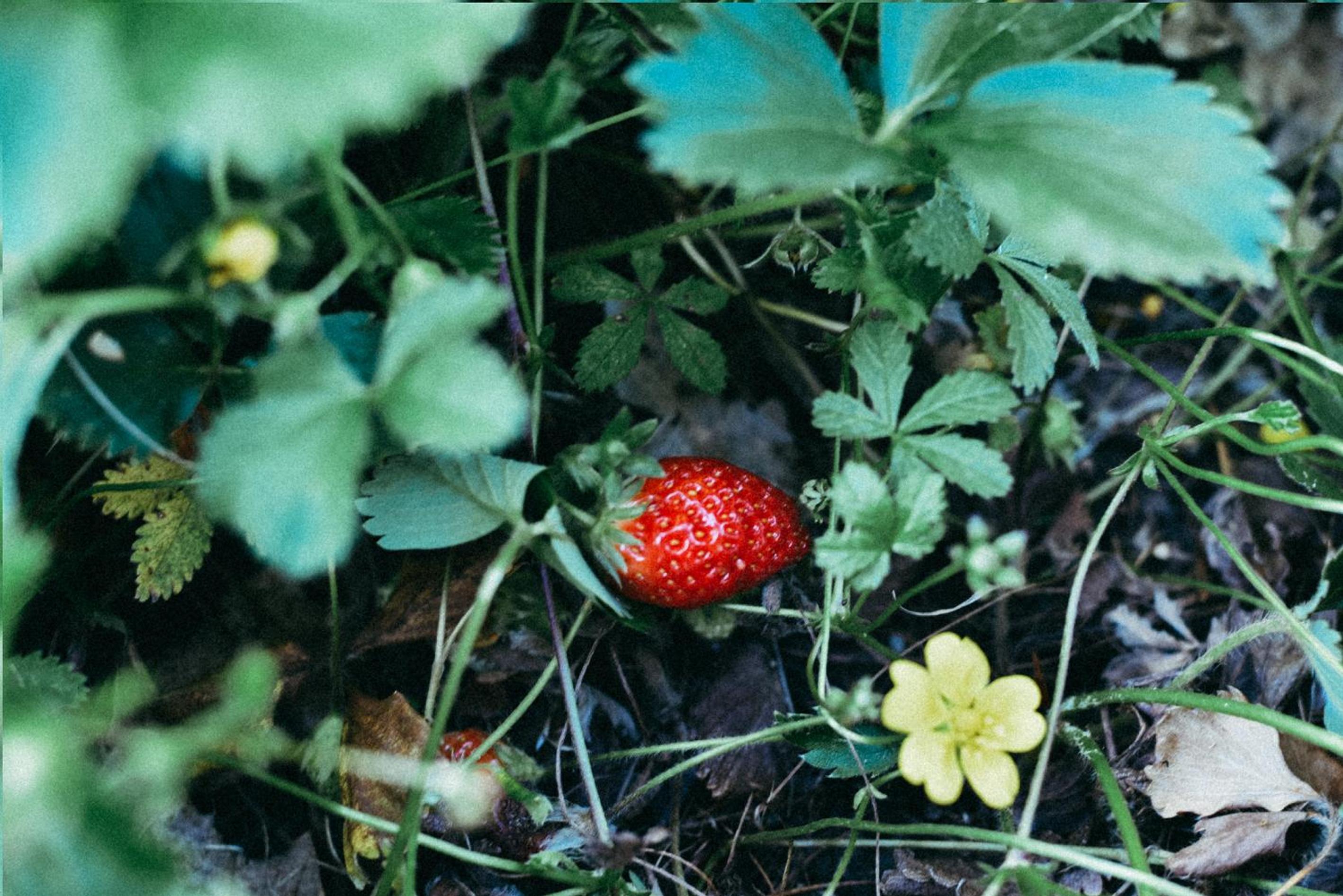 Photo 40