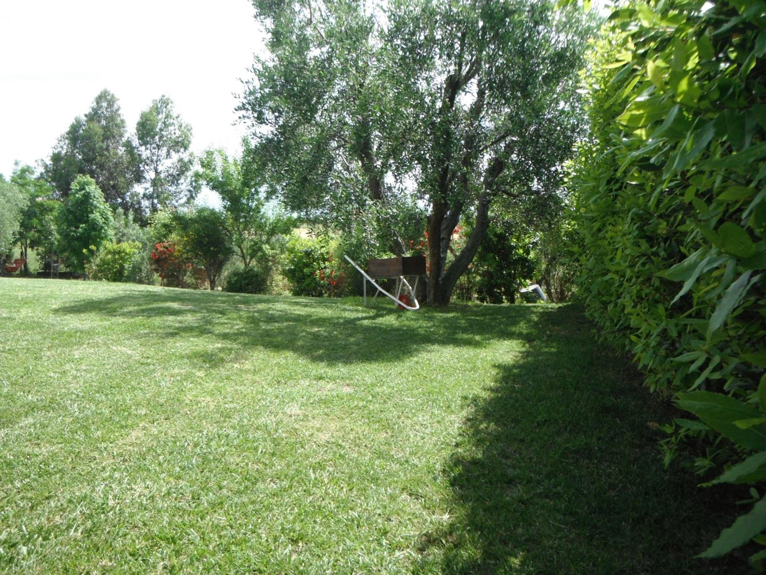 Photo 33