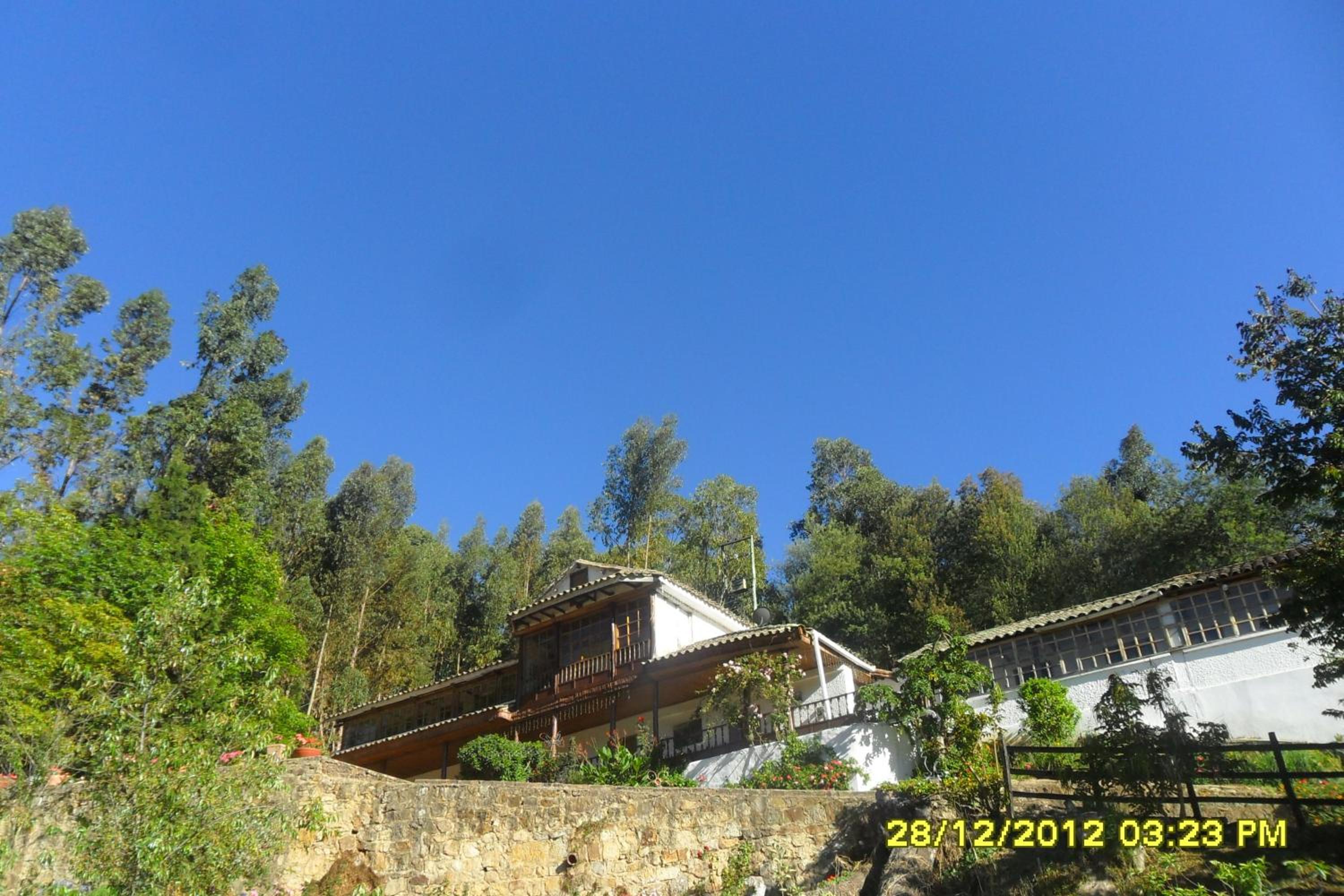 Photo 6
