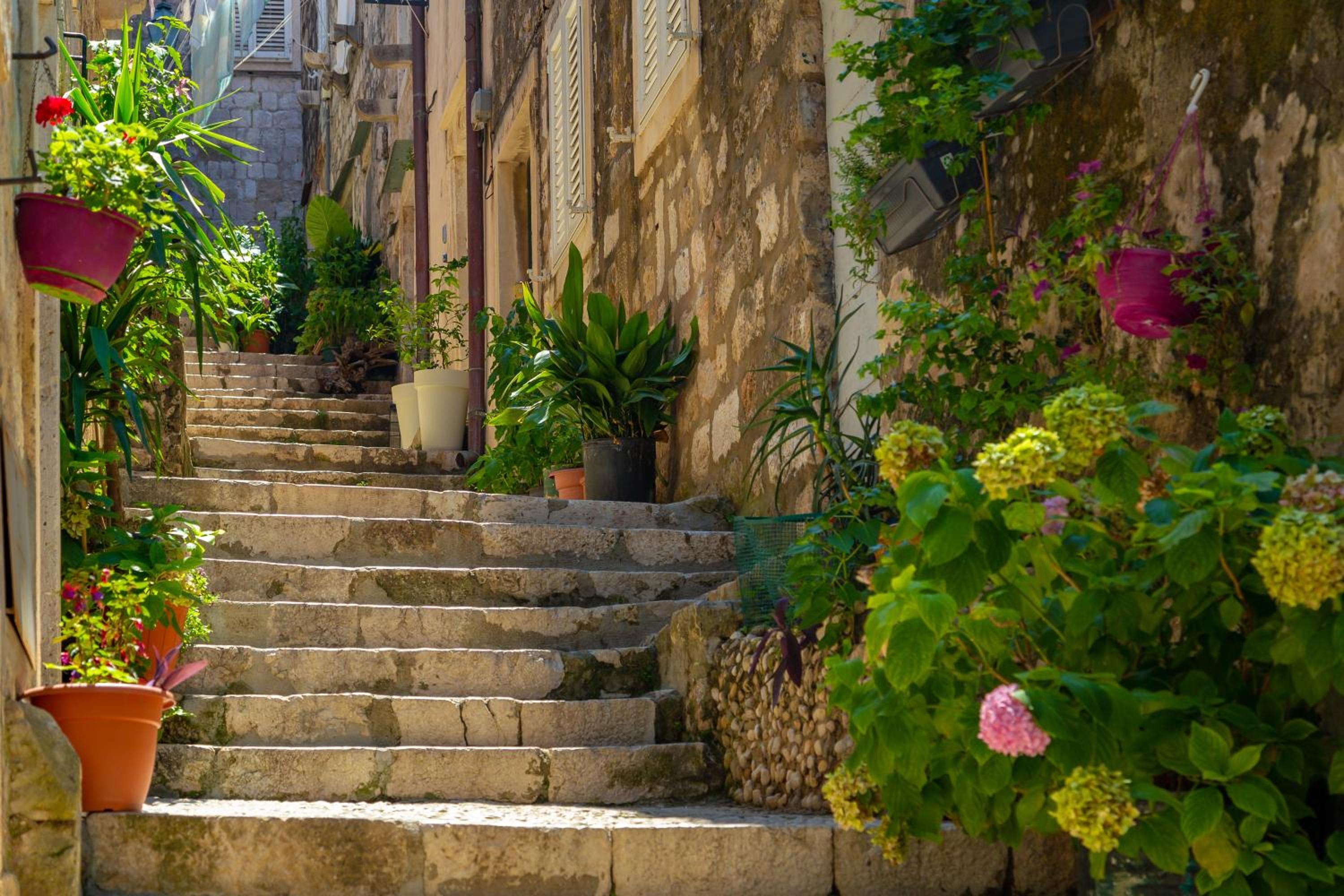 Old Town House with Floor Heating & Lush Private Garden