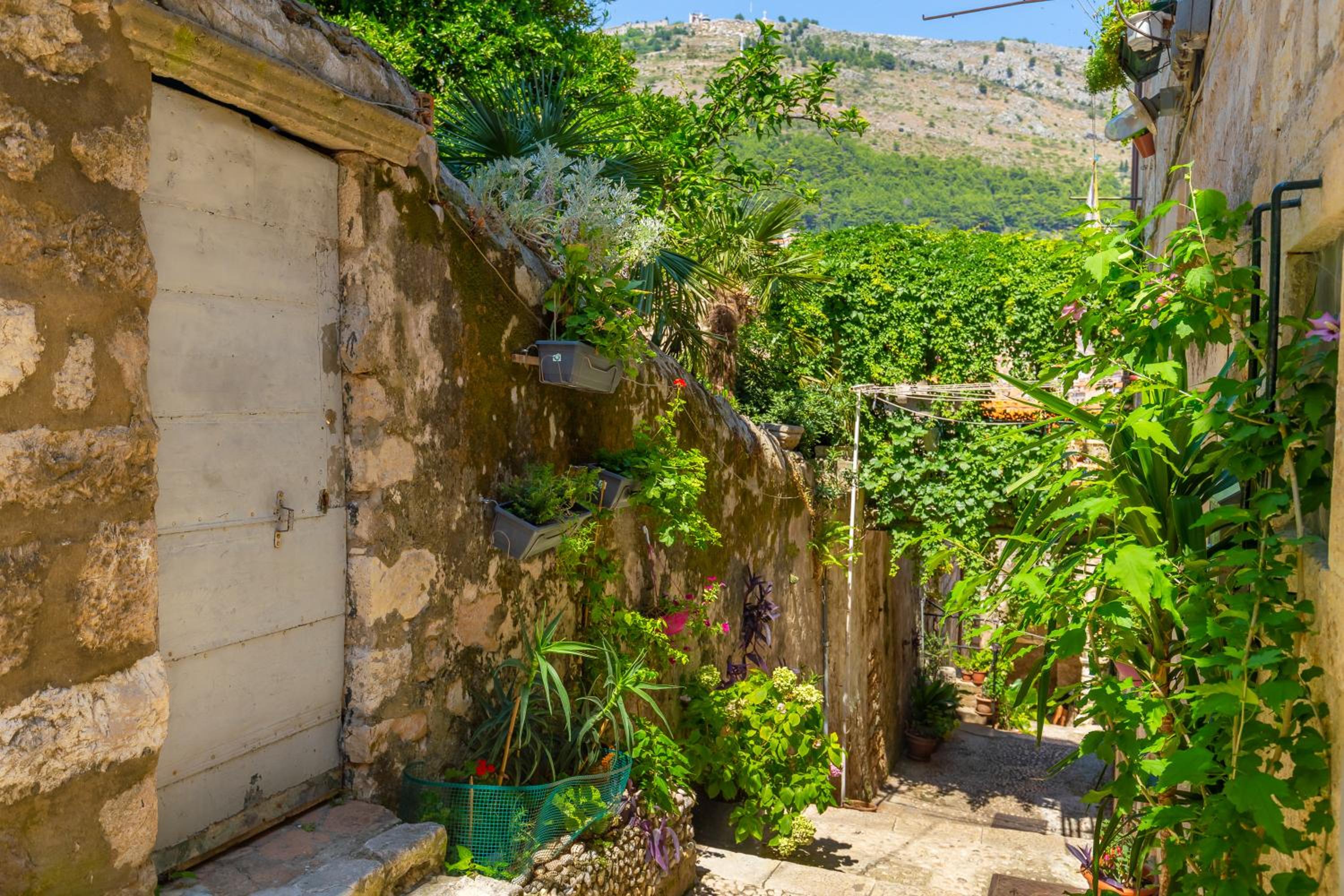 Old Town House with Floor Heating & Lush Private Garden