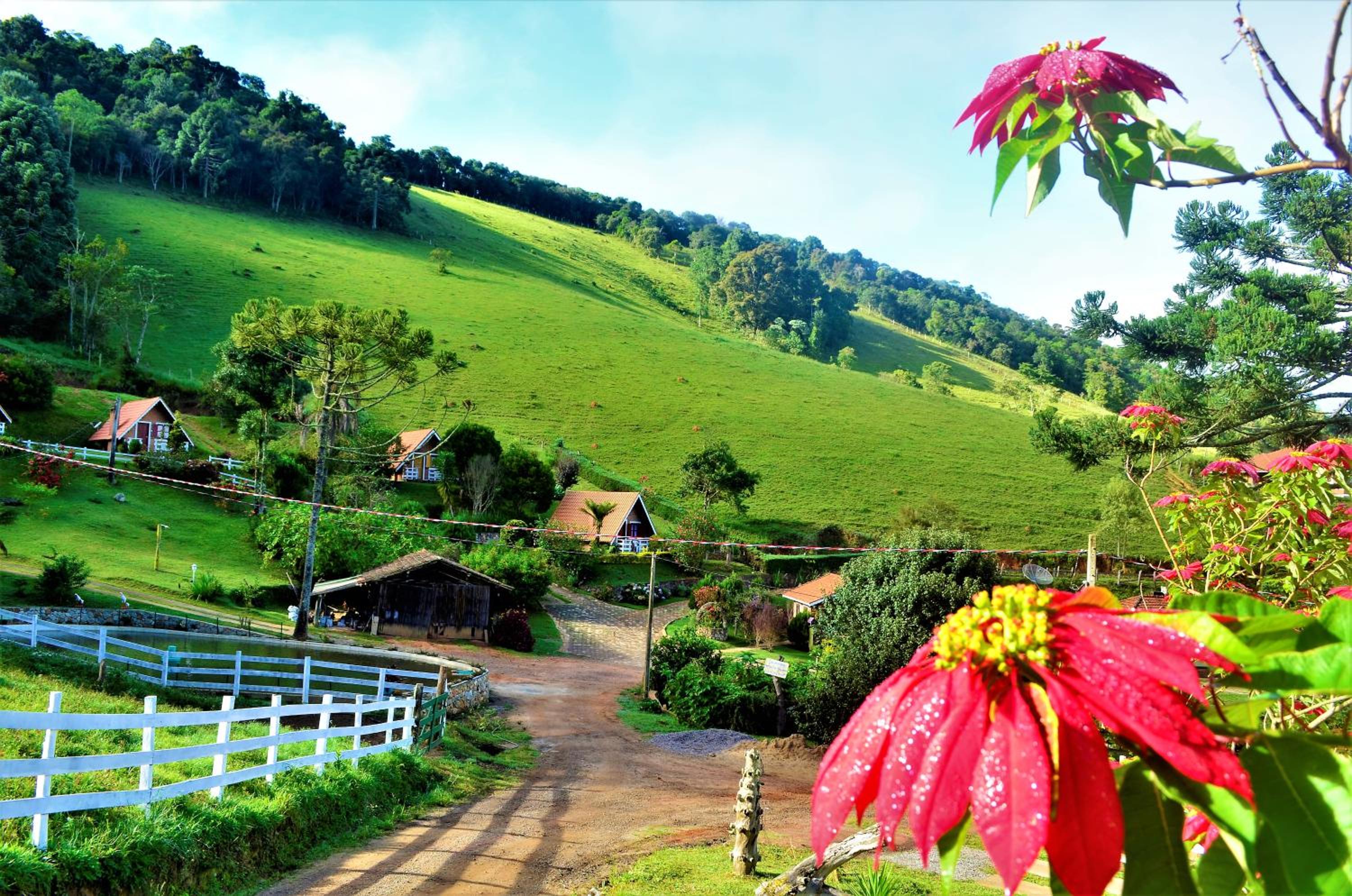Chalés Fazenda Vale da Mata