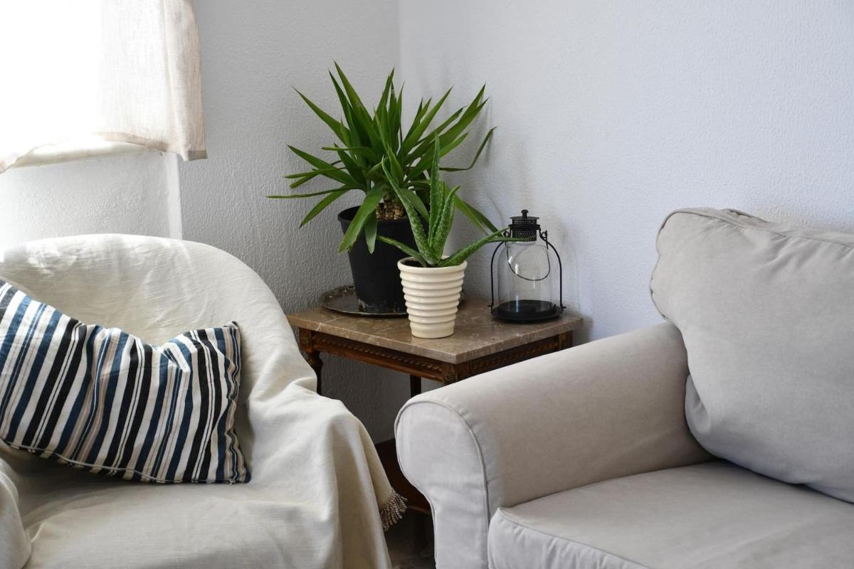 Central Flat, 300m from the Beach view 4