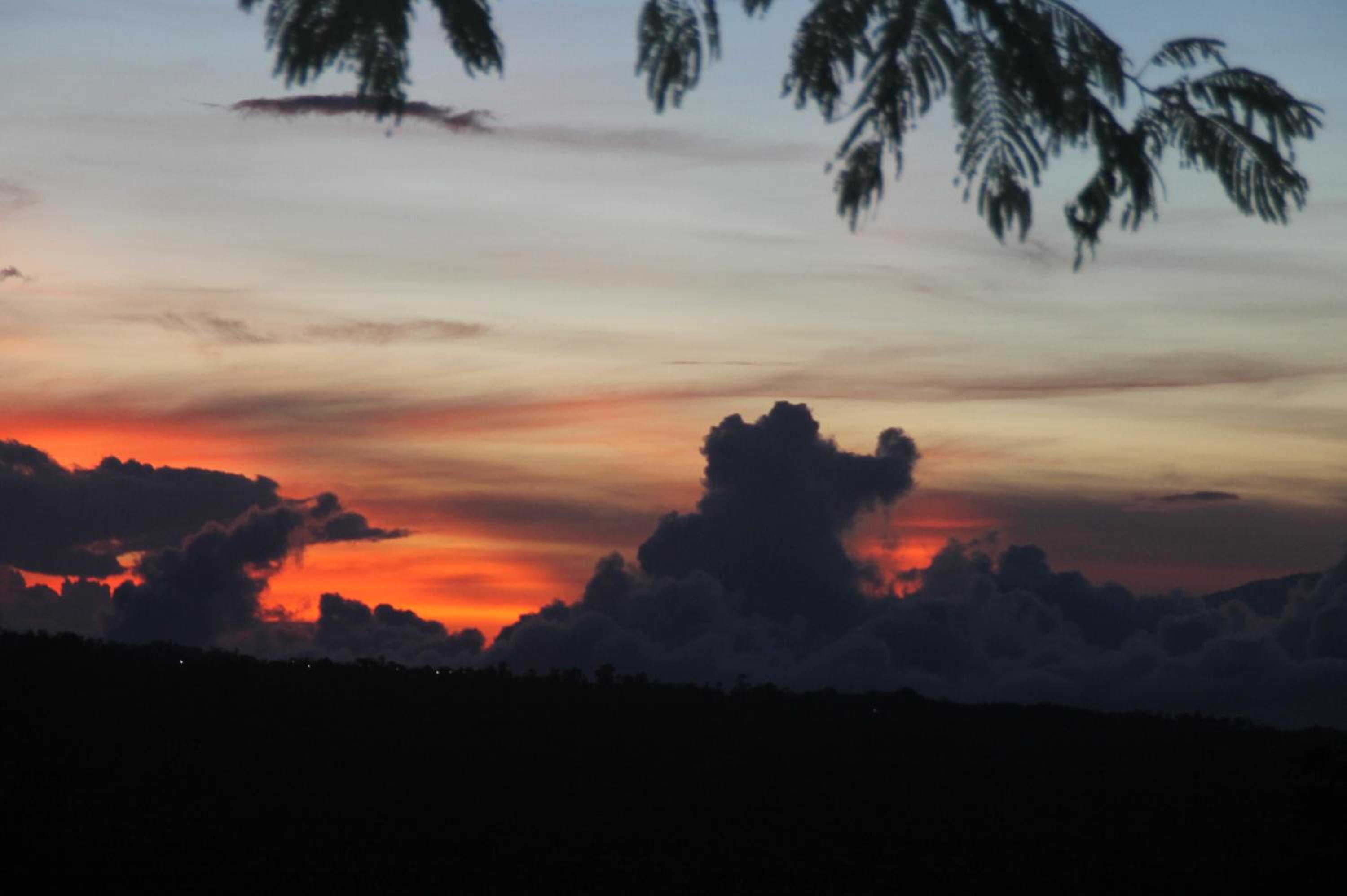 Photo 45
