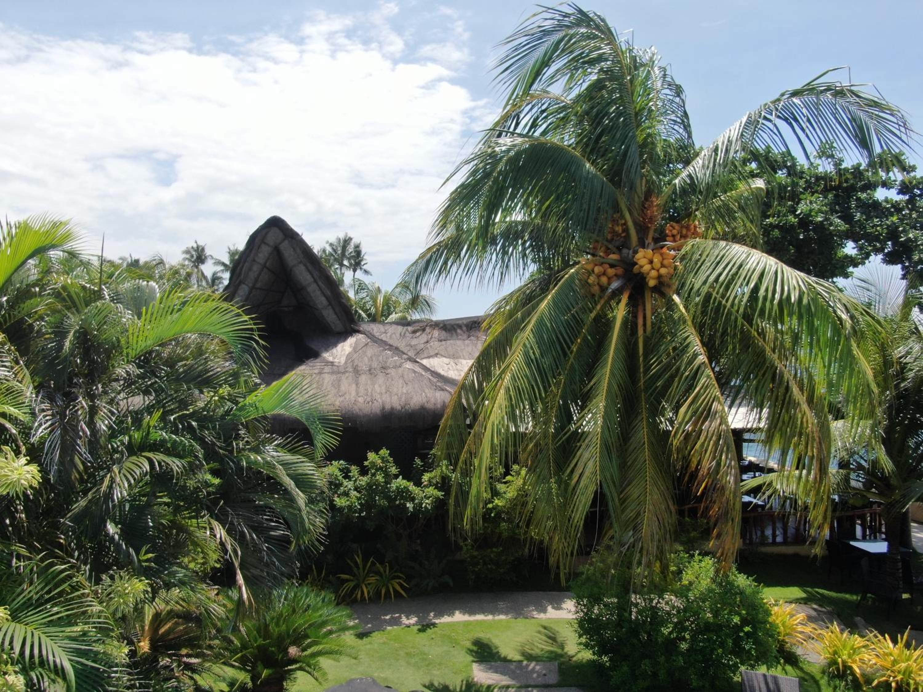 Thalatta Resort, photo 91